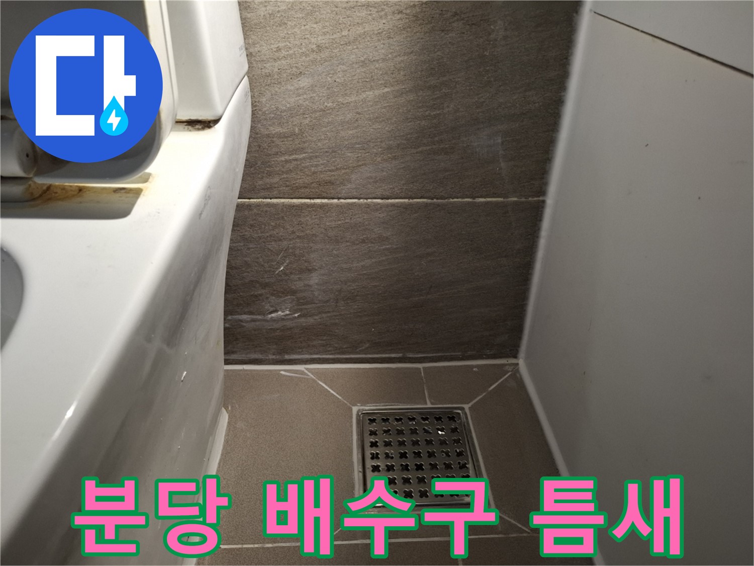 분당 화장실 배수구 주변 타일 틈새 오염 - 곰팡이 때문?