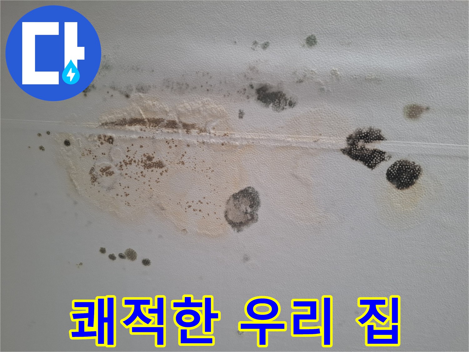 분당구 삼평동 누수 - 곰팡이 천장 제거 후 쾌적한 우리 집 만들기