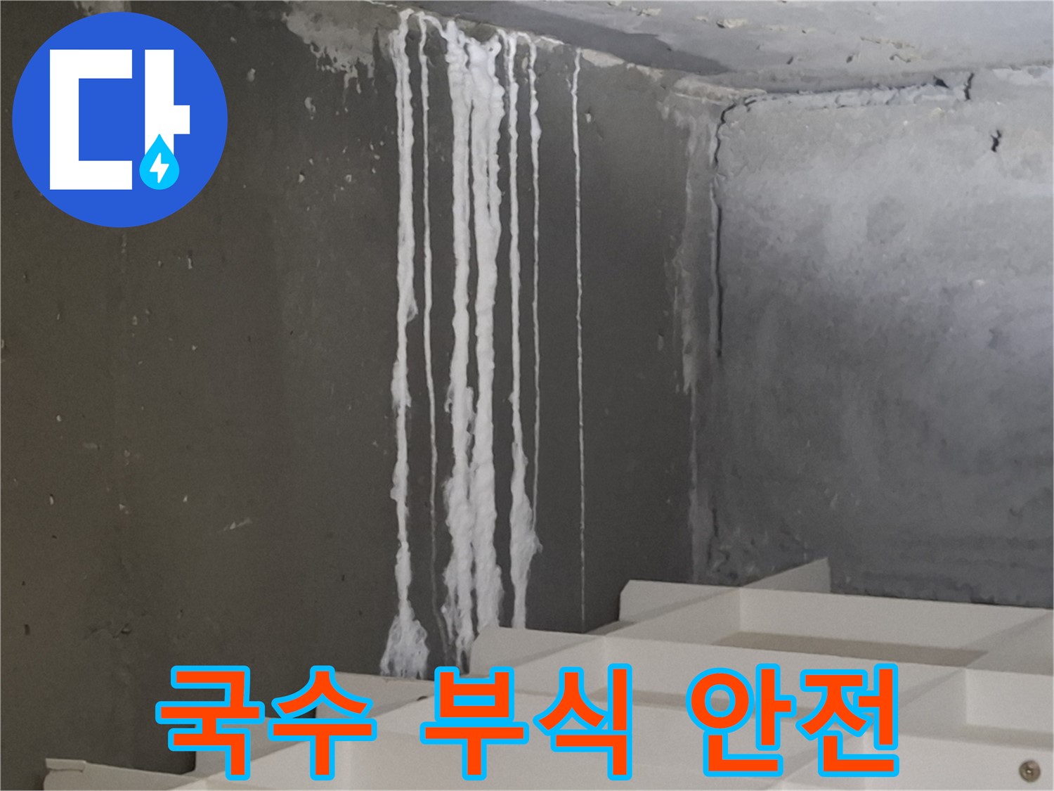 분당구 삼평동 봇들마을 아파트 누수 - 계단 '하얀 국수' 누수는 건물 부식을 유발하고 안전 문제를 야기할 수 있습니다.