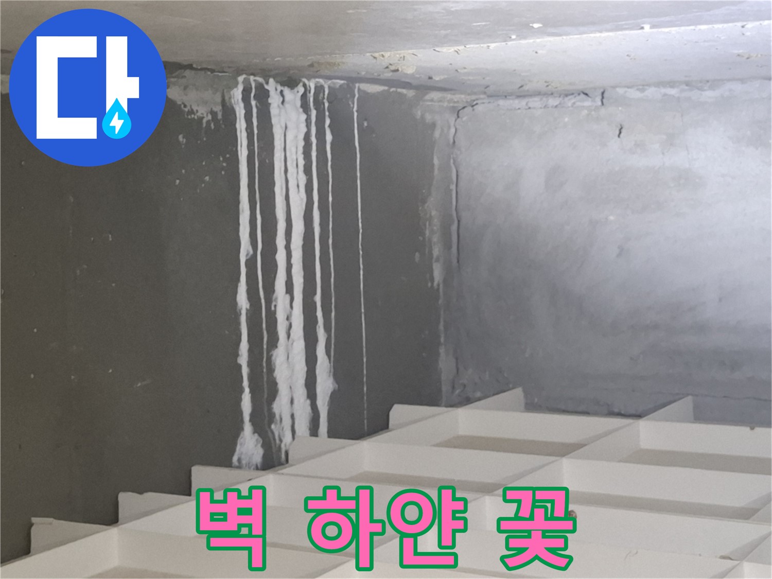 삼평동 누수 - 벽에 핀 하얀 꽃, 누수와 관련된 석회 성분일 가능성 진단
