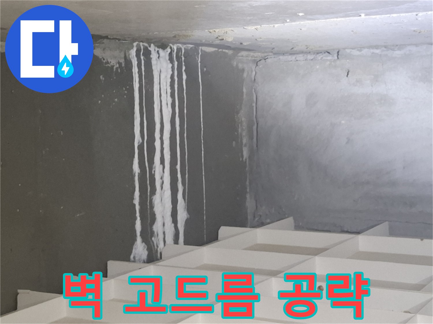 삼평동 아파트 누수 클리닉 - 벽에 맺힌 하얀 고드름, 숨겨진 누수 경로 꼼꼼히 찾기