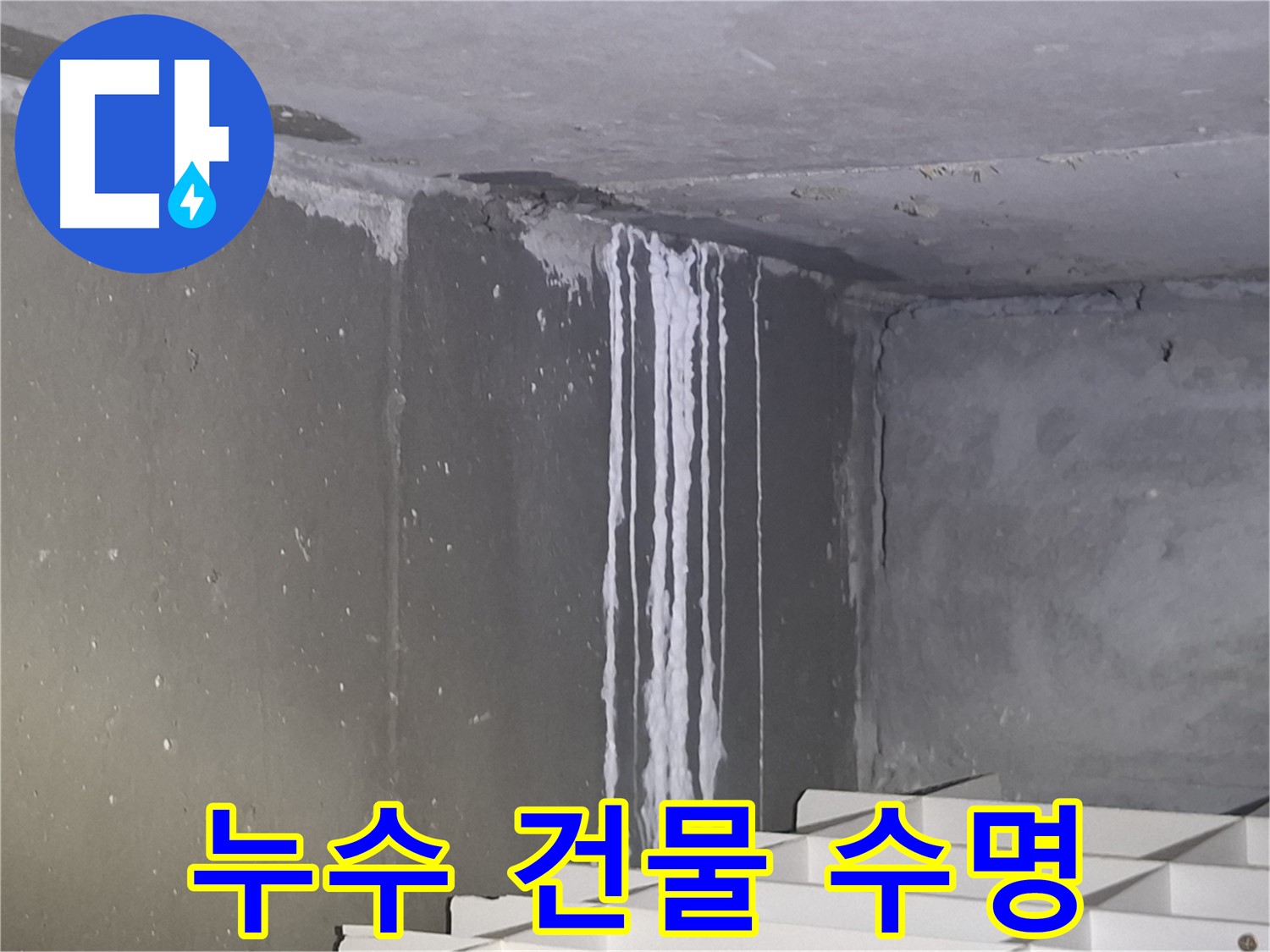 성남 건물 누수 - 건물 수명 연장의 시작