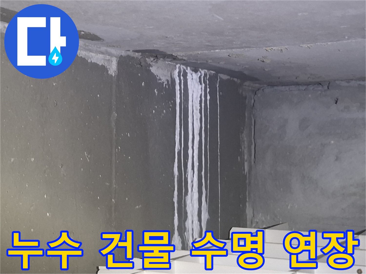성남 누수 공사 - 건물 수명 연장, 우리가 책임