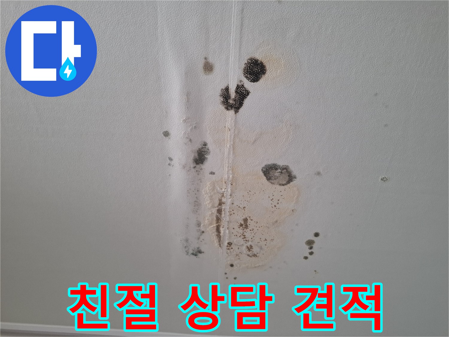 성남 누수 - 친절한 상담과 합리적인 견적으로 곰팡이 문제 해결