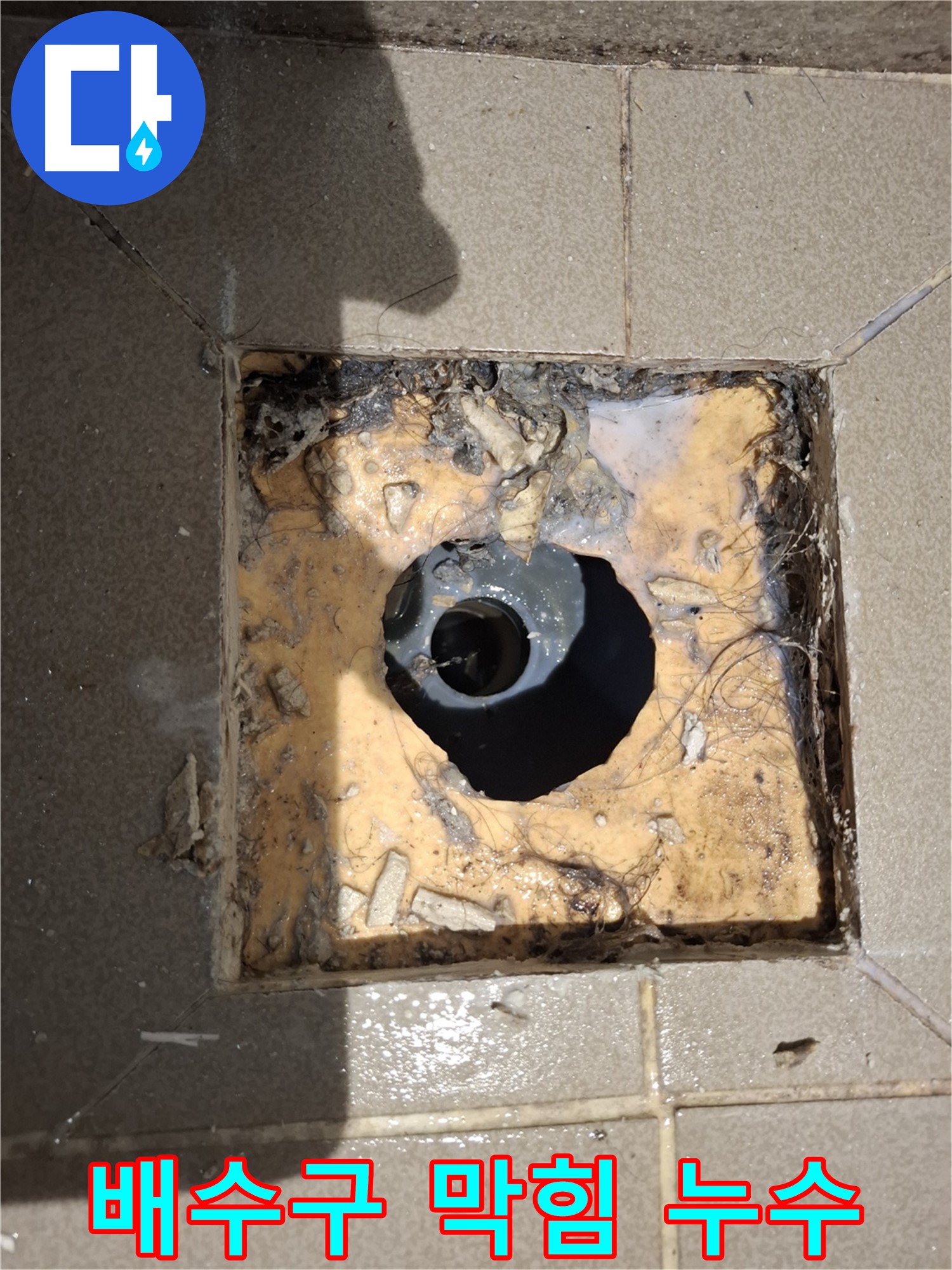 성남 분당 봇들마을 아파트 욕실 배수구 - 막힘과 누수 초기 상태 꼼꼼하게 진단