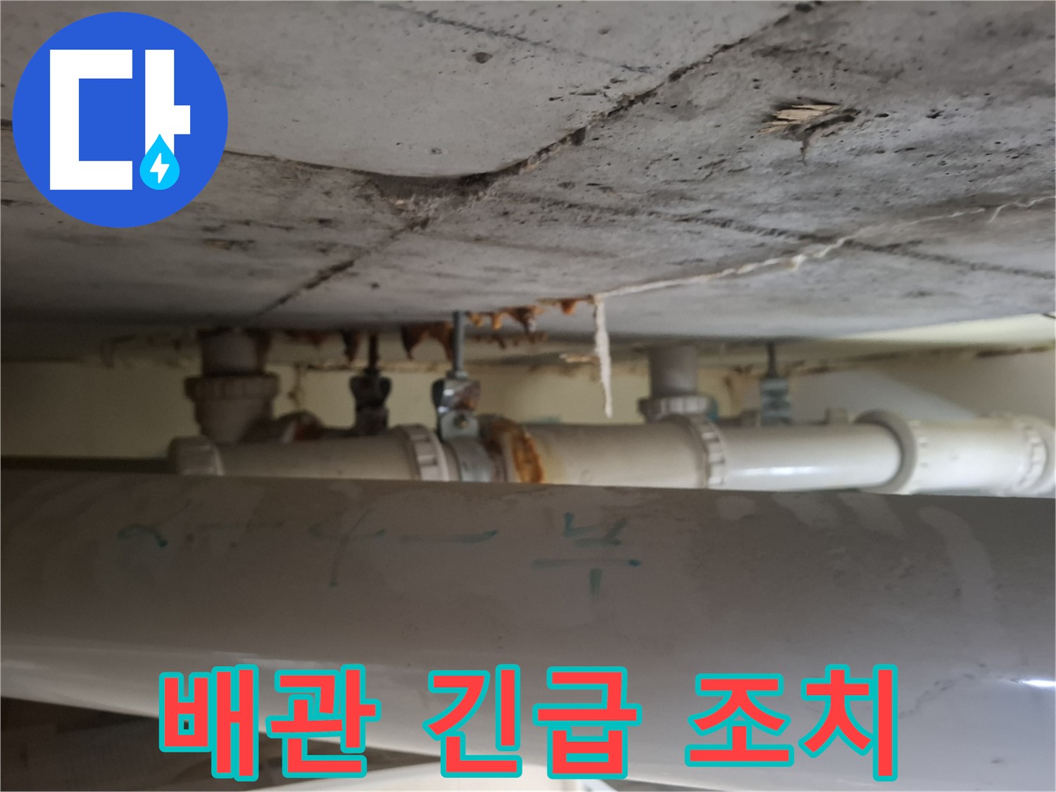 성남 분당구 봇들마을 2단지 아파트 - 천장 배관 누수 긴급 점검 및 신속 조치 진행
