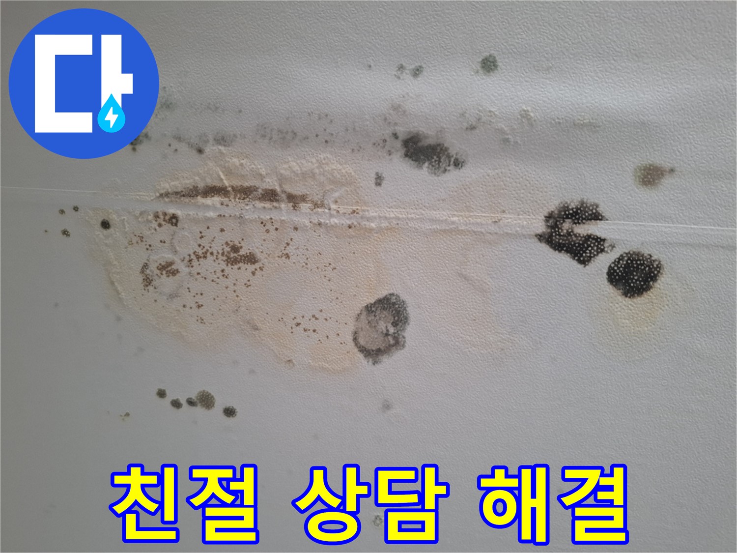 성남 삼평동 누수 - 곰팡이 핀 천장, 친절 상담 후 확실한 해결 약속