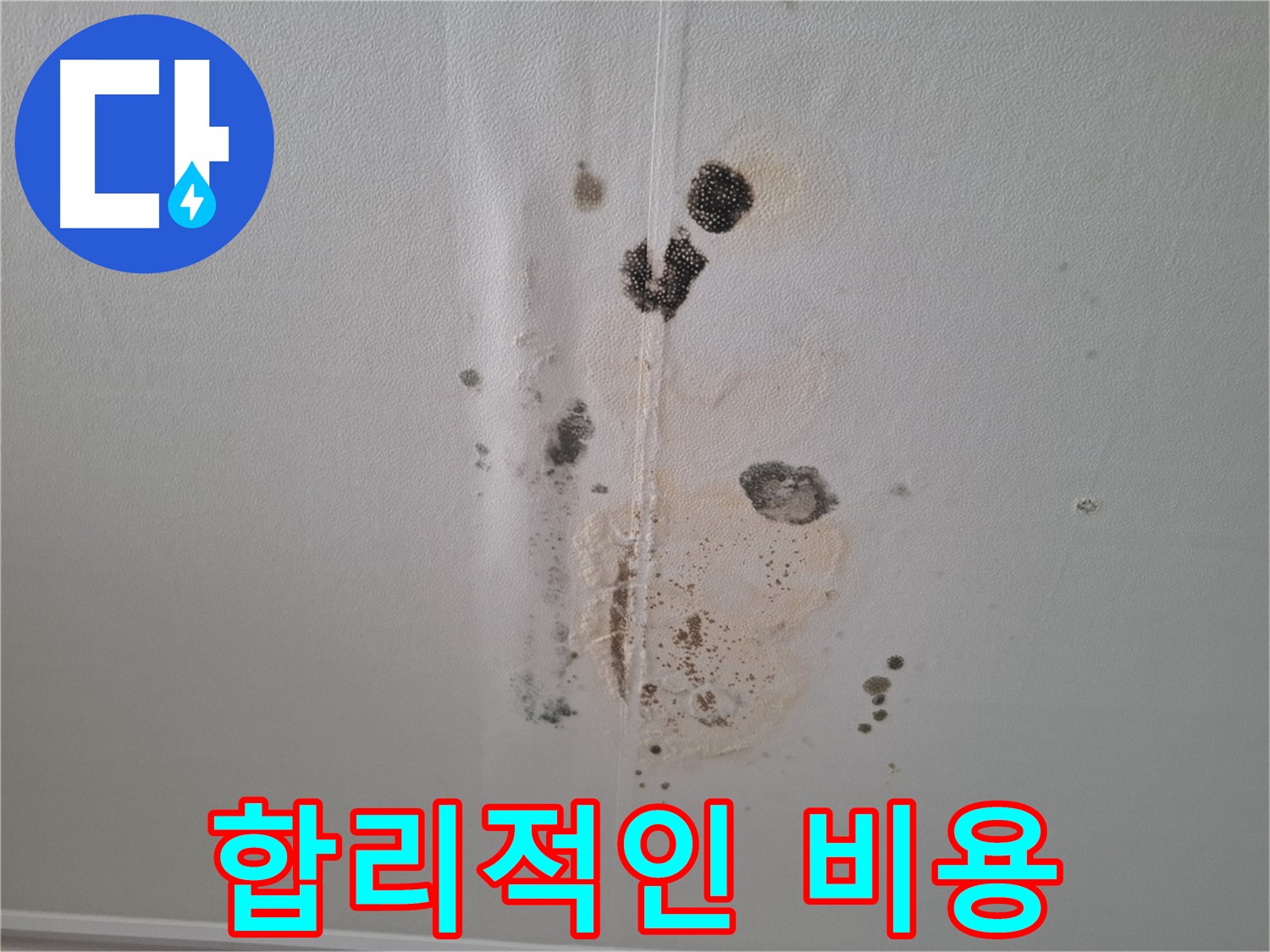 성남 삼평동 봇들마을 누수 - 합리적인 누수 비용 제공