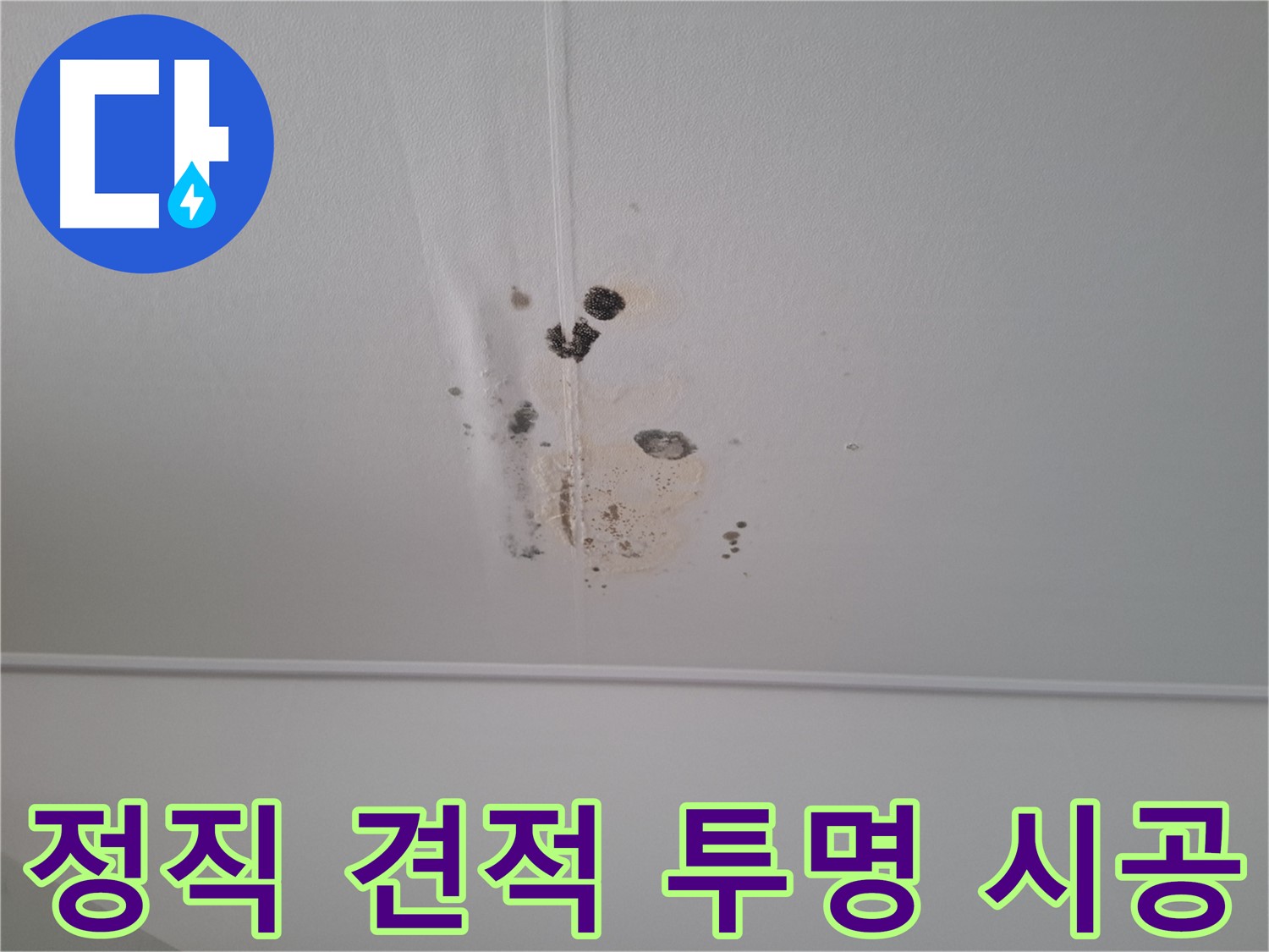성남 삼평동 봇들마을2단지 아파트 - 정직한 견적과 투명한 시공 과정을 약속드립니다.
