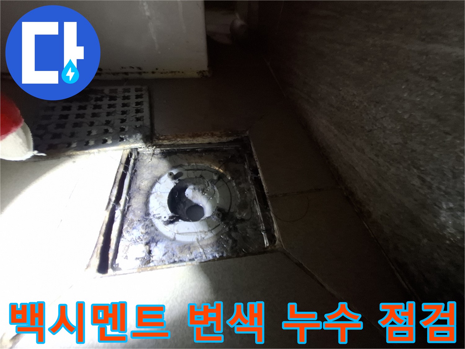 성남 삼평동 욕실 하수구 주변 백시멘트 변색 - 누수 점검으로 문제 해결