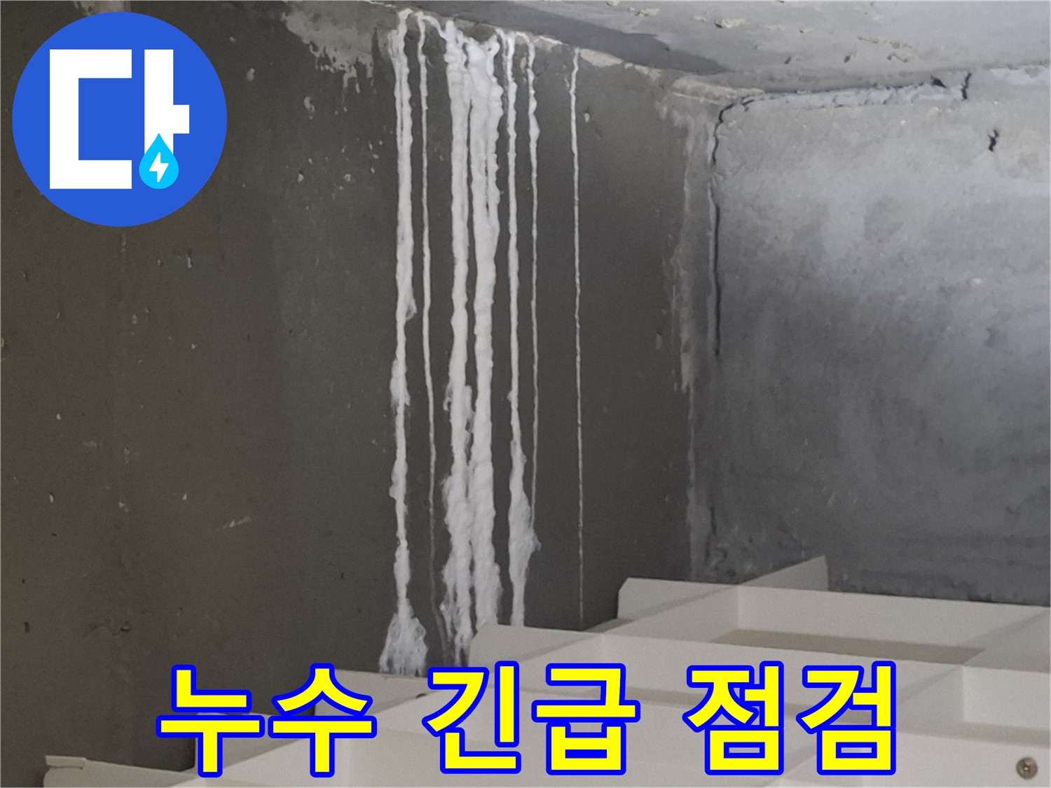 성남시 분당구 봇들마을 아파트 누수 - 계단 '흰 가루' 누수 긴급 점검! 누수 가능성을 꼼꼼히 확인합니다.