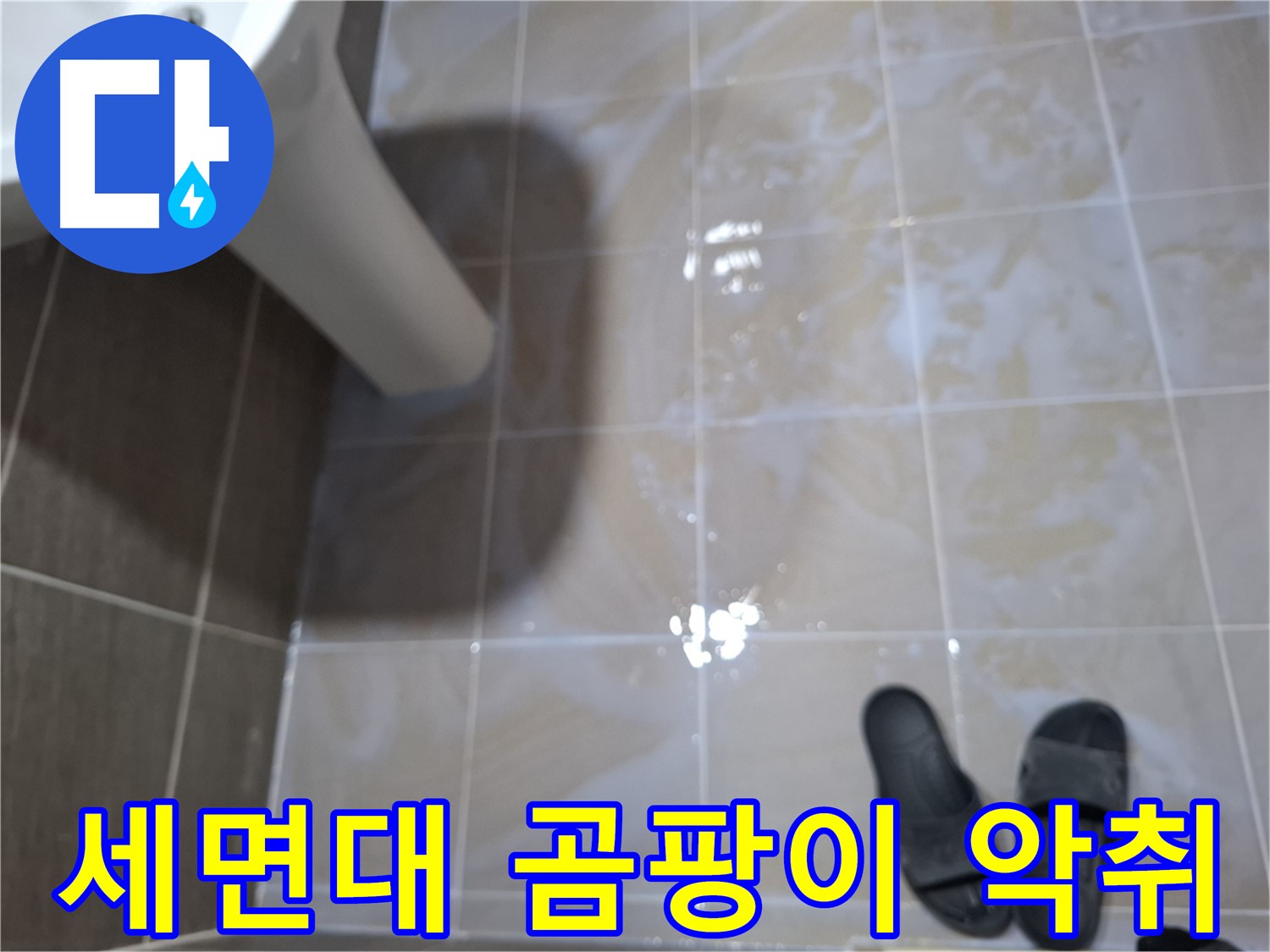 성남시 분당구 봇들마을2단지 세면대 누수 - 곰팡이와 악취가 심각한 세면대 누수 현장