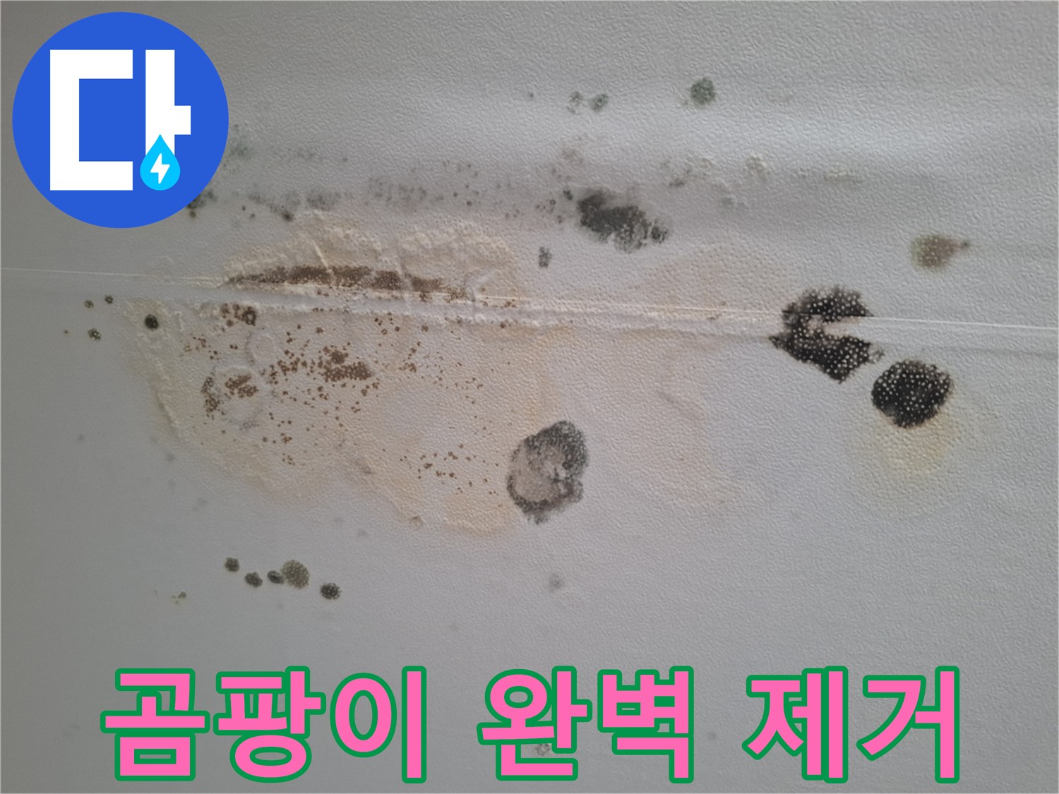 성남시 분당구 삼평동 곰팡이 누수 - 건강을 위협하는 곰팡이, 완벽하게 제거합니다
