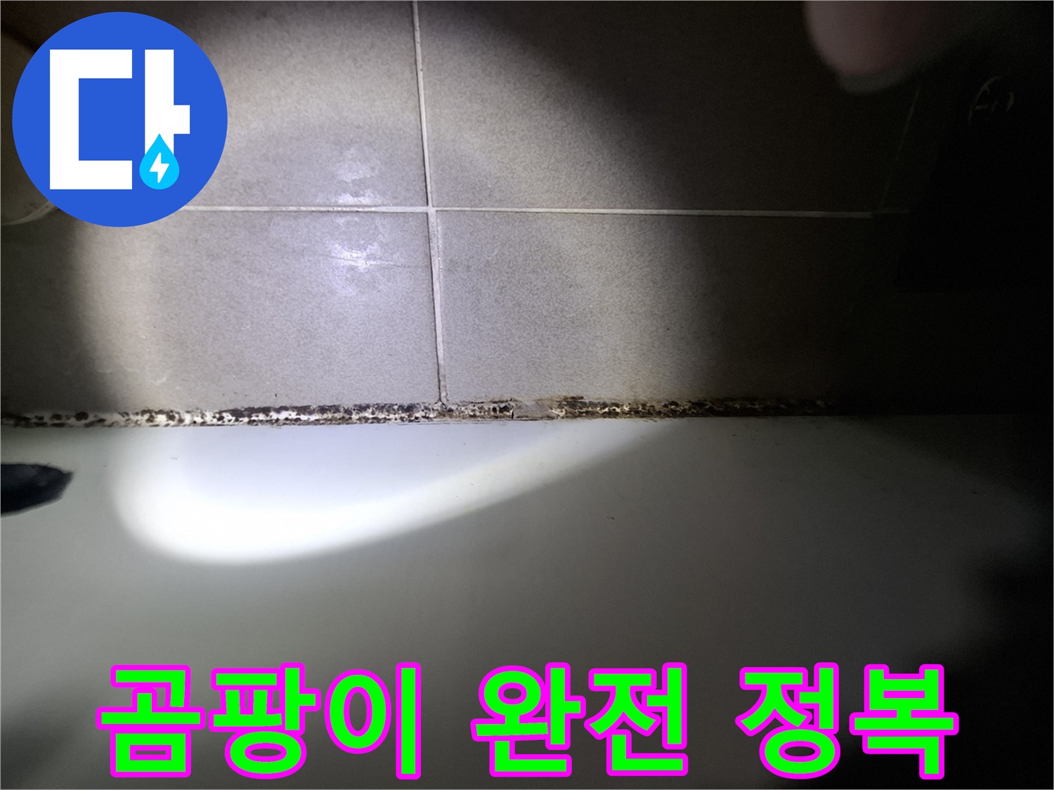 욕조 곰팡이 - 곰팡이 완전 정복을 위한 맞춤 솔루션 제공