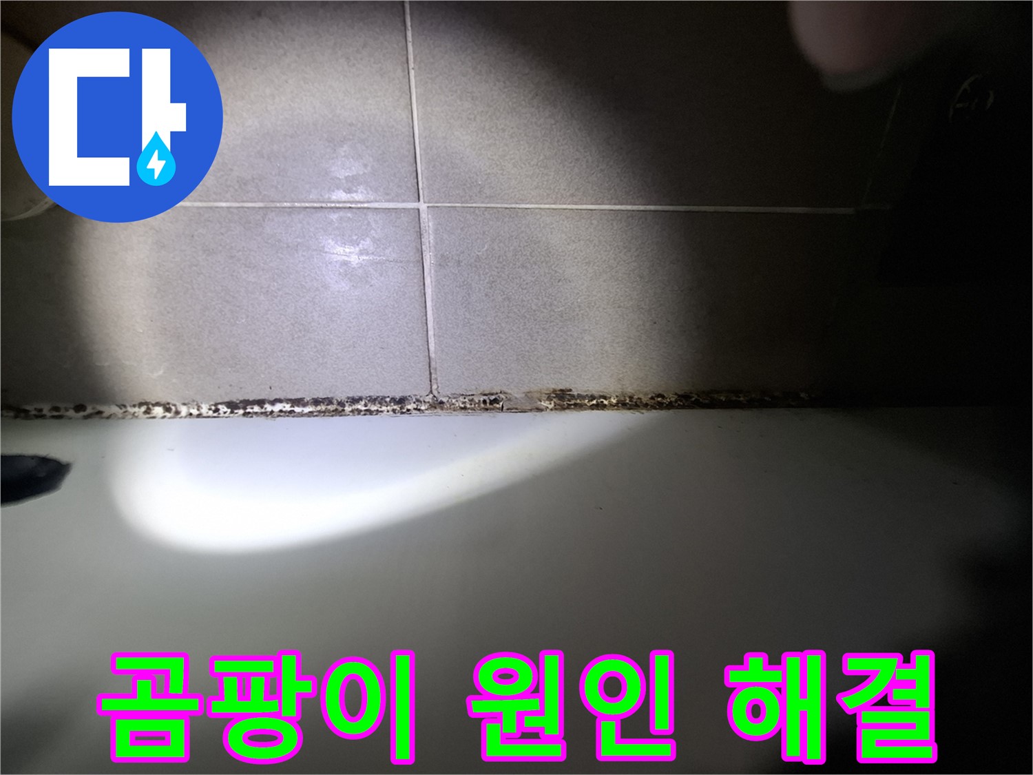 욕조 곰팡이 - 곰팡이 원인 분석 후 맞춤 해결책 제시