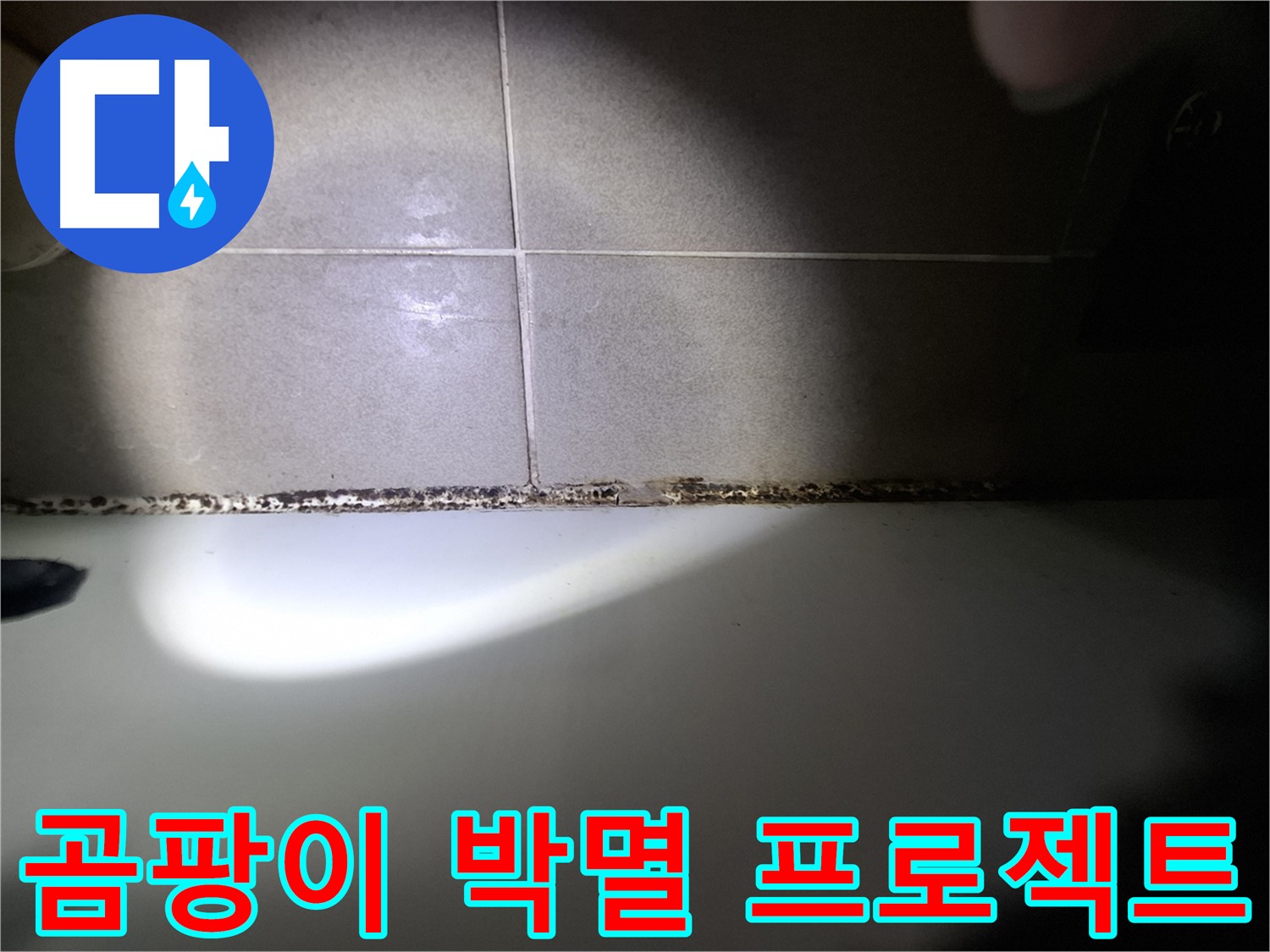 욕조 곰팡이 제거 - 곰팡이 박멸을 위한 완벽 시공
