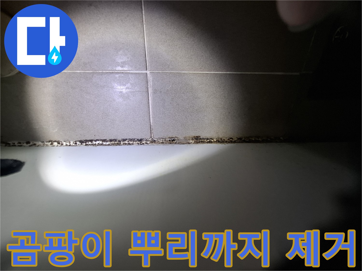 욕조 실리콘 곰팡이 제거 - 곰팡이 뿌리까지 완벽하게 제거