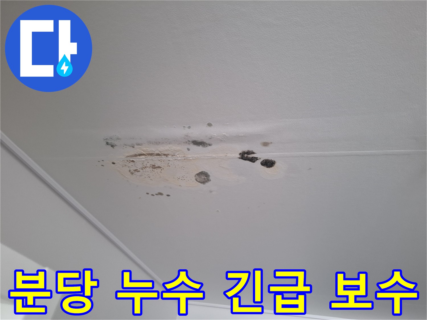 천장 누수 - 긴급 보수, 곰팡이 제거로 쾌적하게