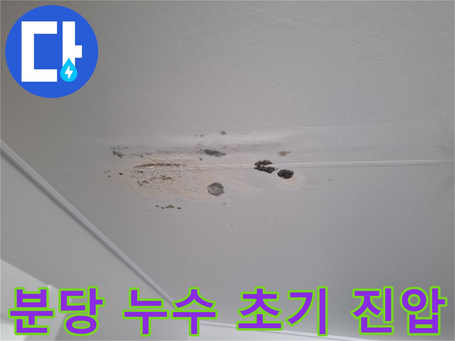 천장 누수 초기 곰팡이 - 신속한 진단 및 조치로 확산 방지
