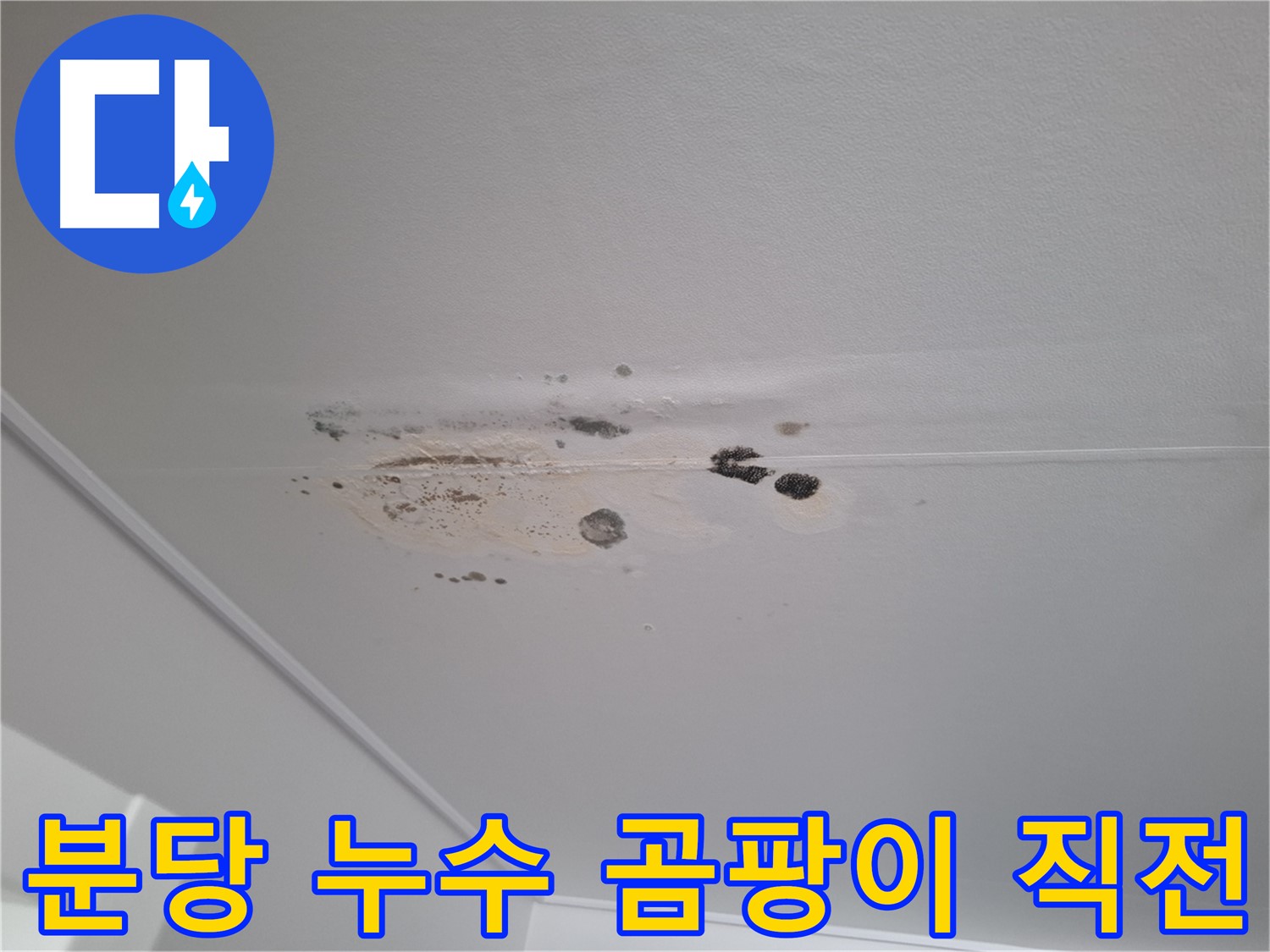 천장 누수 흔적 - 곰팡이 발생 직전, 초기 대응 중요
