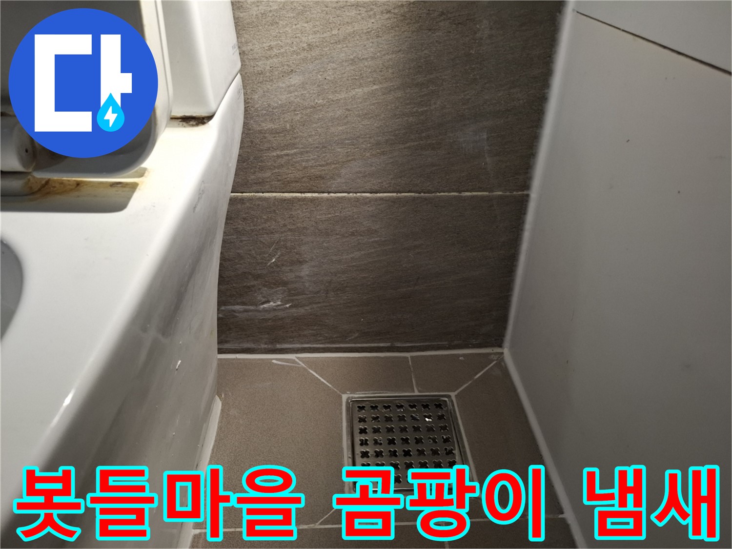 판교 봇들마을 변기 주변 물기 곰팡이 냄새 - 누수 때문?