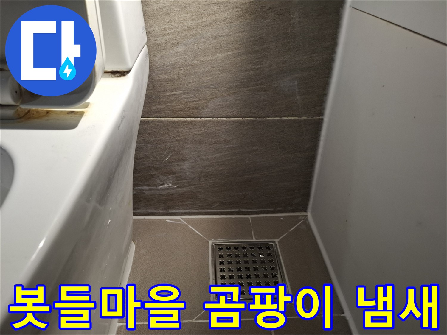 판교 봇들마을 변기 주변 물기 - 곰팡이 냄새 - 누수 의심