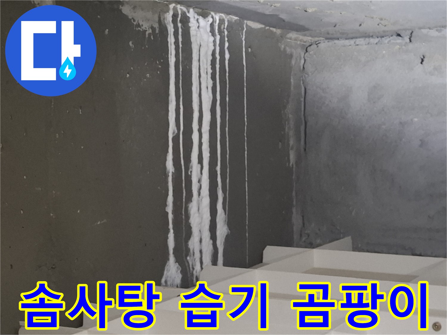 판교 봇들마을 아파트 - 계단 '하얀 솜사탕' 누수는 습기와 곰팡이 확산의 주범입니다.