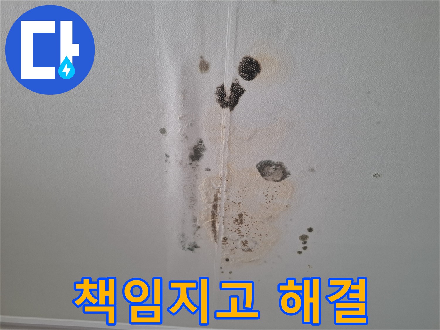 판교 봇들마을 아파트 누수 - 2단지 누수 문제, 확실하게 책임지고 해결!