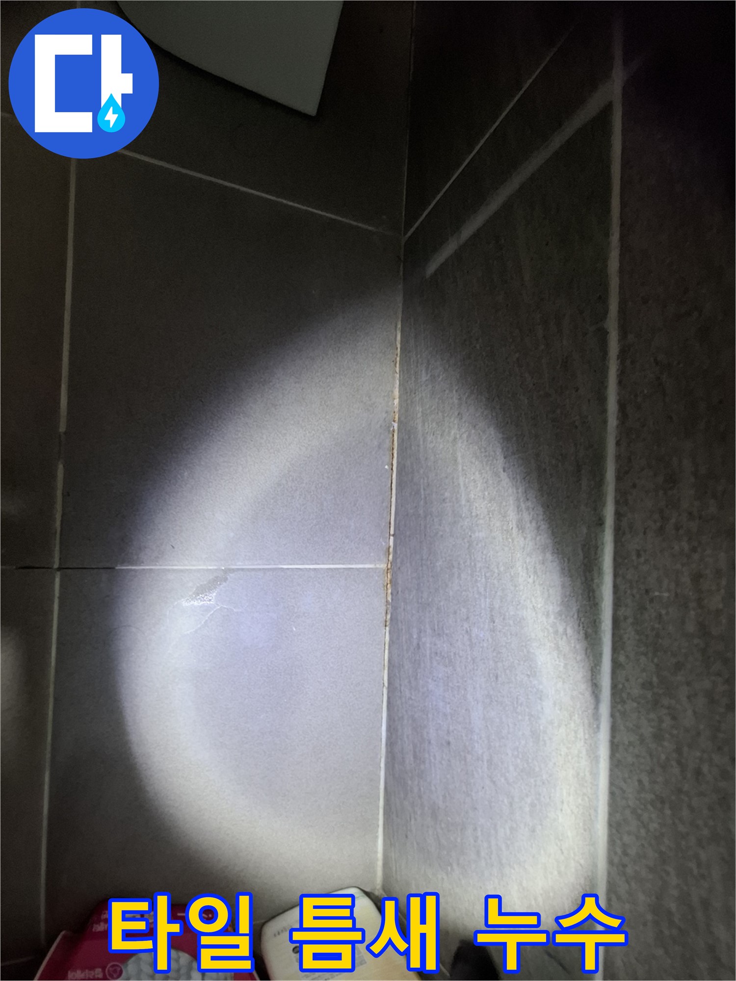 판교 봇들마을 아파트 욕실 타일 틈새 누수 - 누수 해결을 위한 꼼꼼한 점검