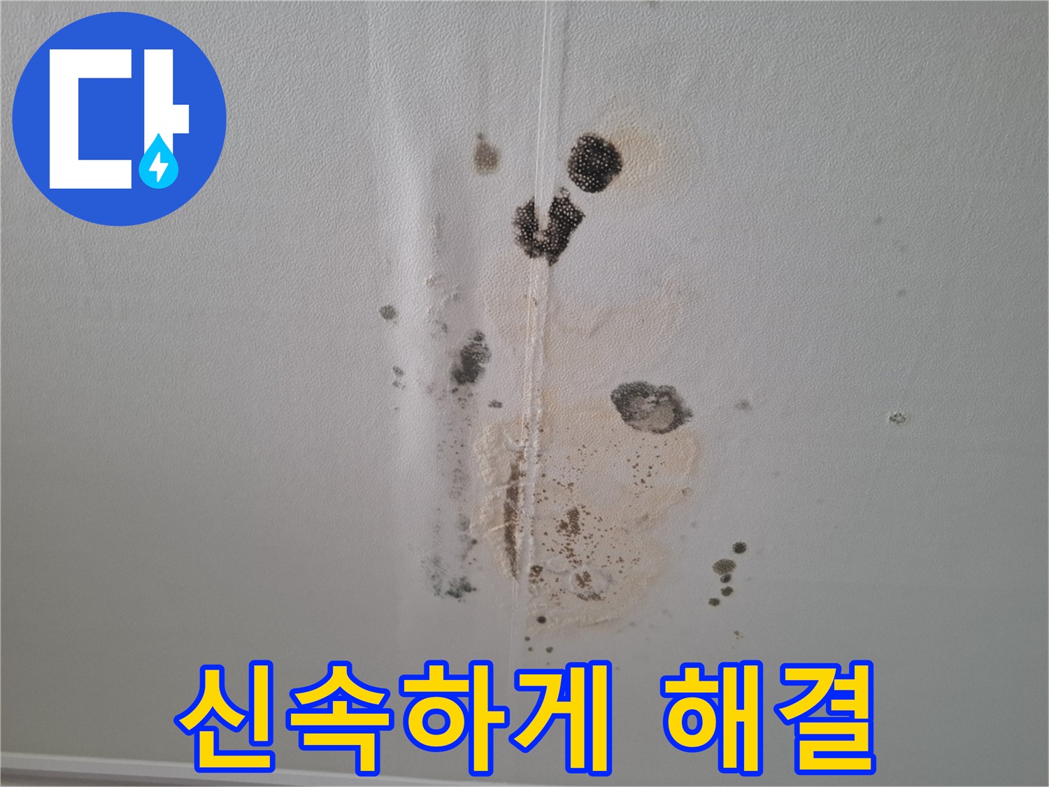판교 봇들마을2단지 누수 - 누수 문제, 신속하게 해결