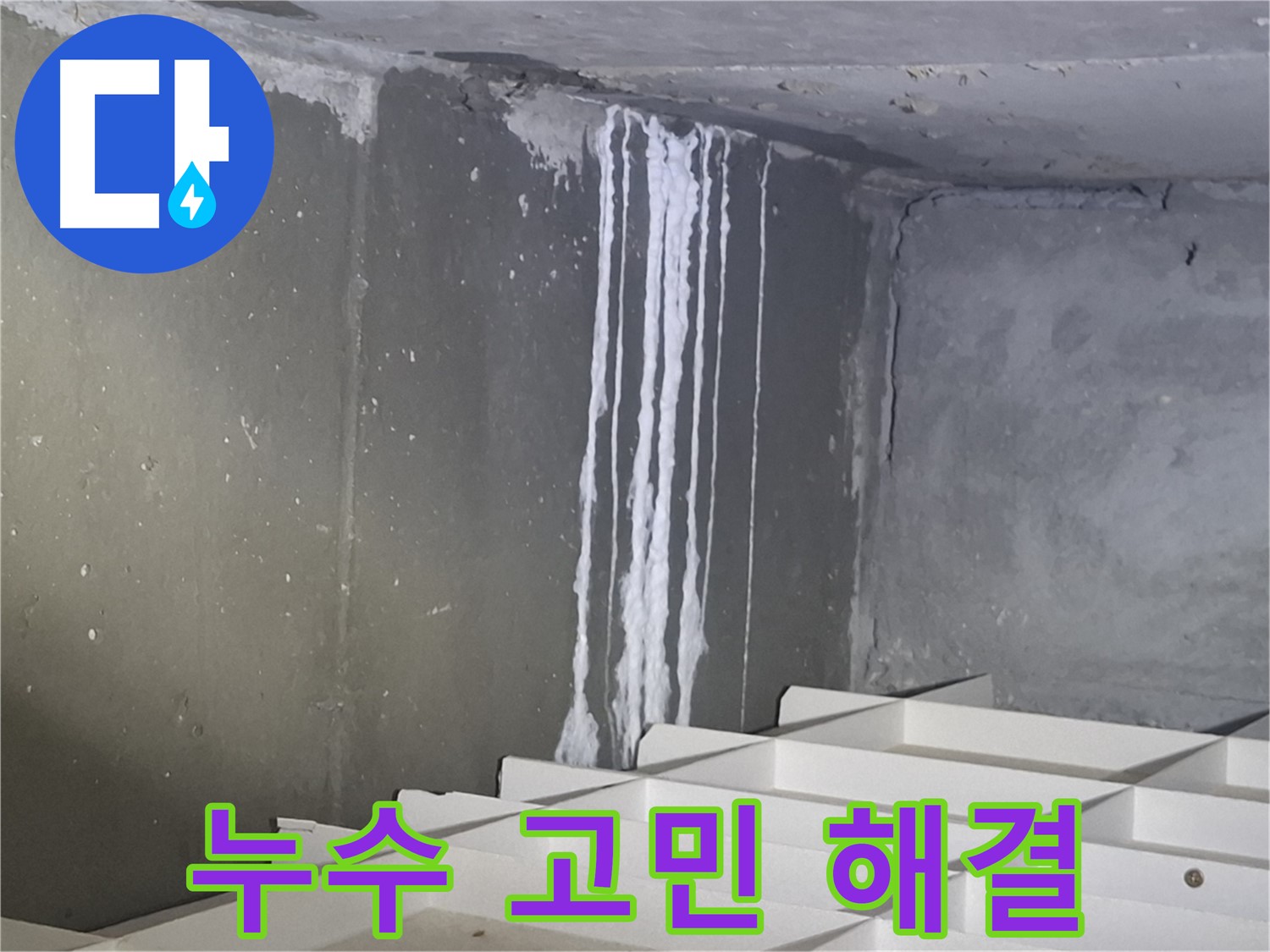 판교 봇들마을2단지 누수 해결 - 완벽 시공으로 누수 고민 해결