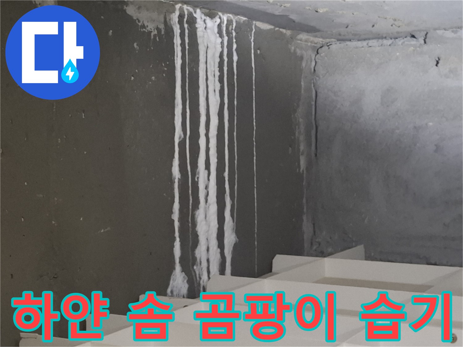 판교 삼평동 봇들마을 아파트 - 계단 '하얀 솜' 누수, 곰팡이와 습기 문제를 유발할 수 있습니다.
