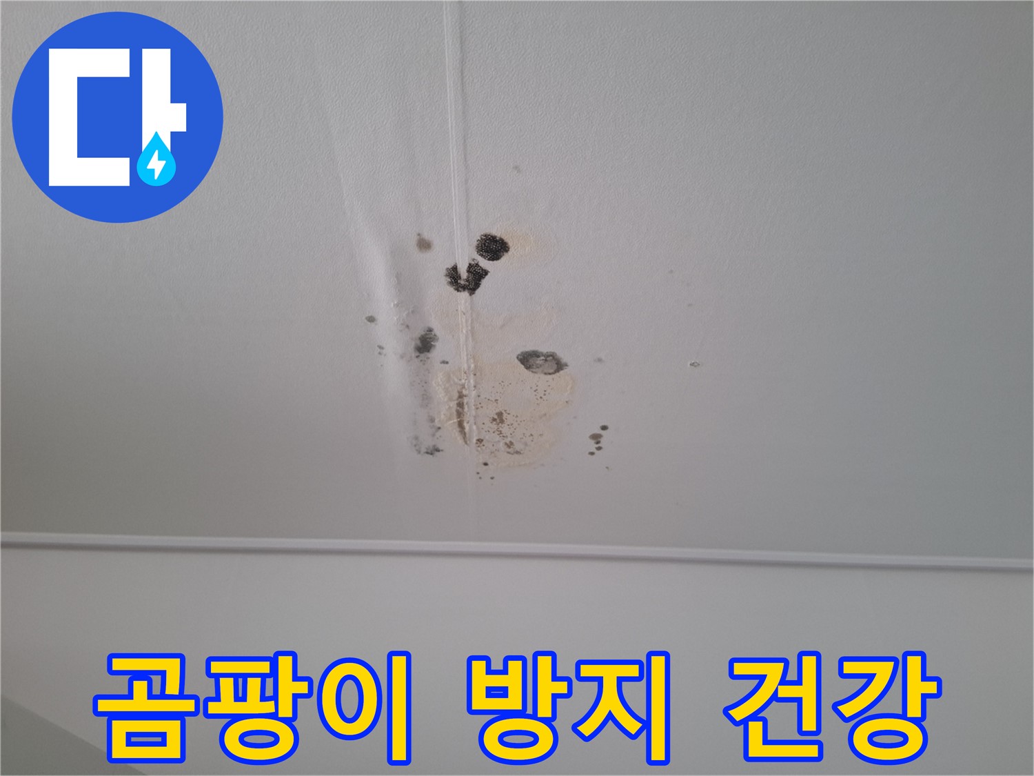 판교 삼평동 봇들마을2단지 아파트 - 곰팡이 방지 시공으로 건강한 생활 환경을 만들어 드립니다.