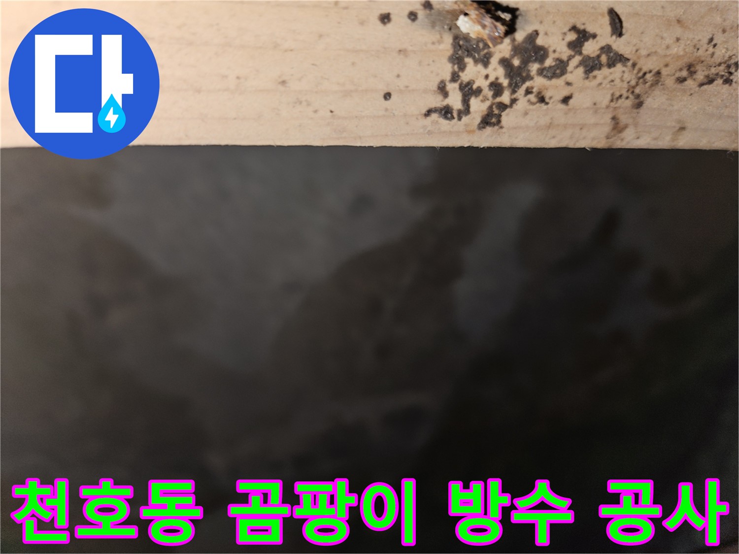 천호동 아파트 곰팡이 누수 방수 공사