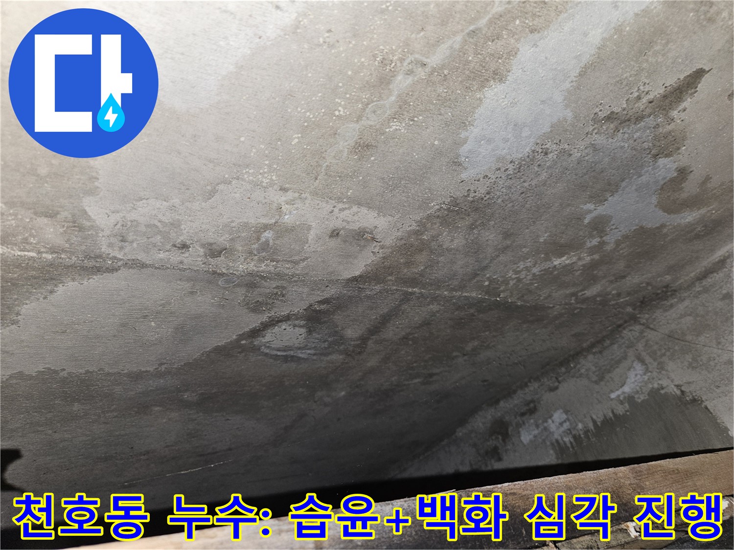강동구 천호동 콘크리트 누수 - 습윤, 백화 심각 진행은 누수 심각