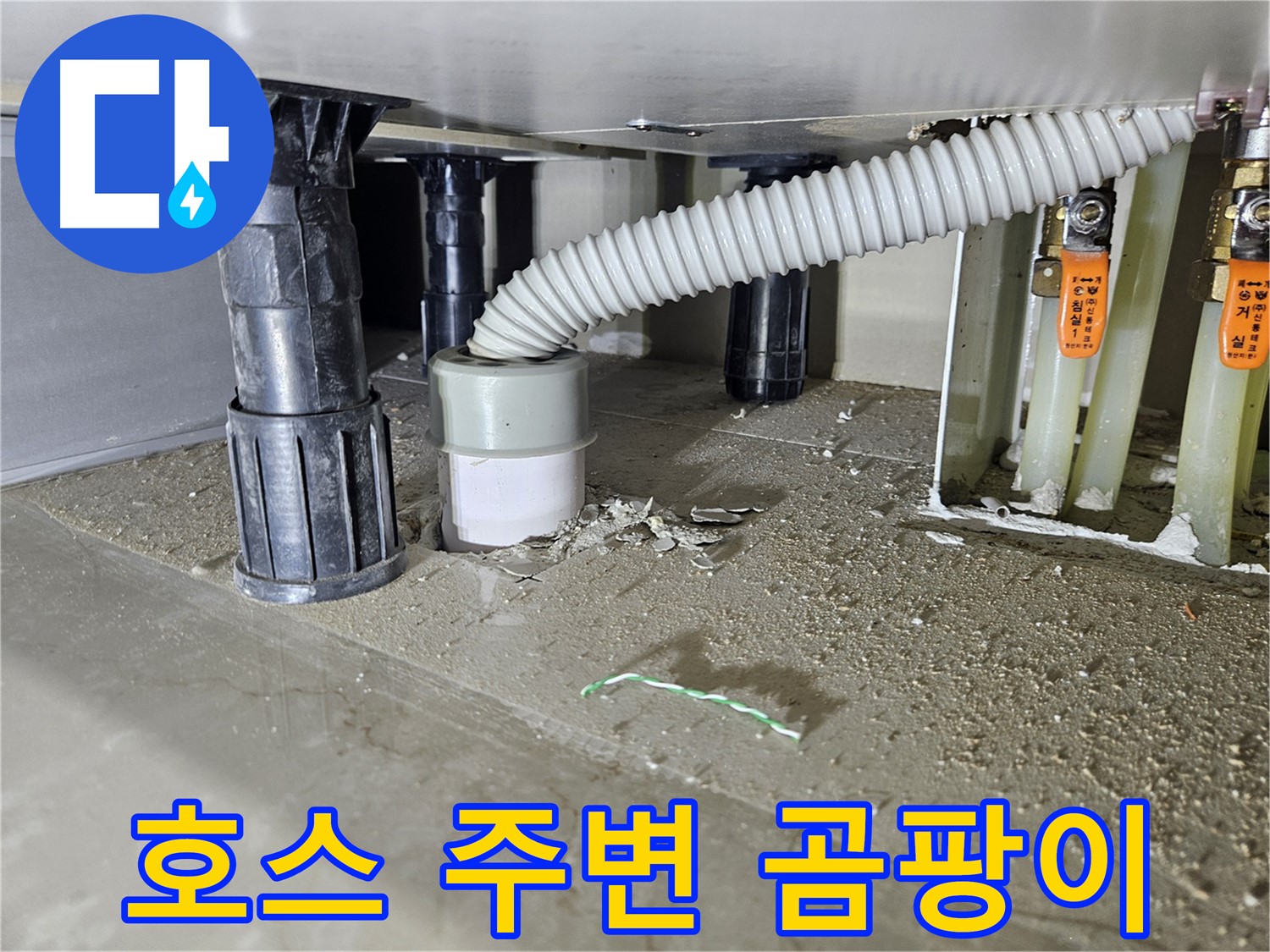 싱크대 누수 - 배수 호스 연결 부위 주변 곰팡이 확인