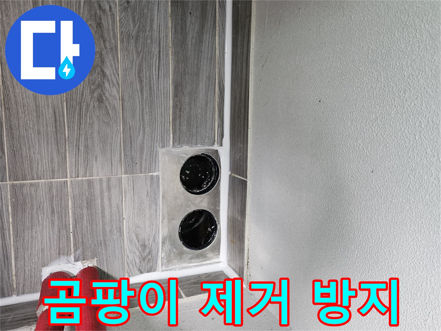 천호2동 강동리버스타운 세탁기 배수구 곰팡이 - 곰팡이 제거와 방지 코팅으로 깨끗하게!