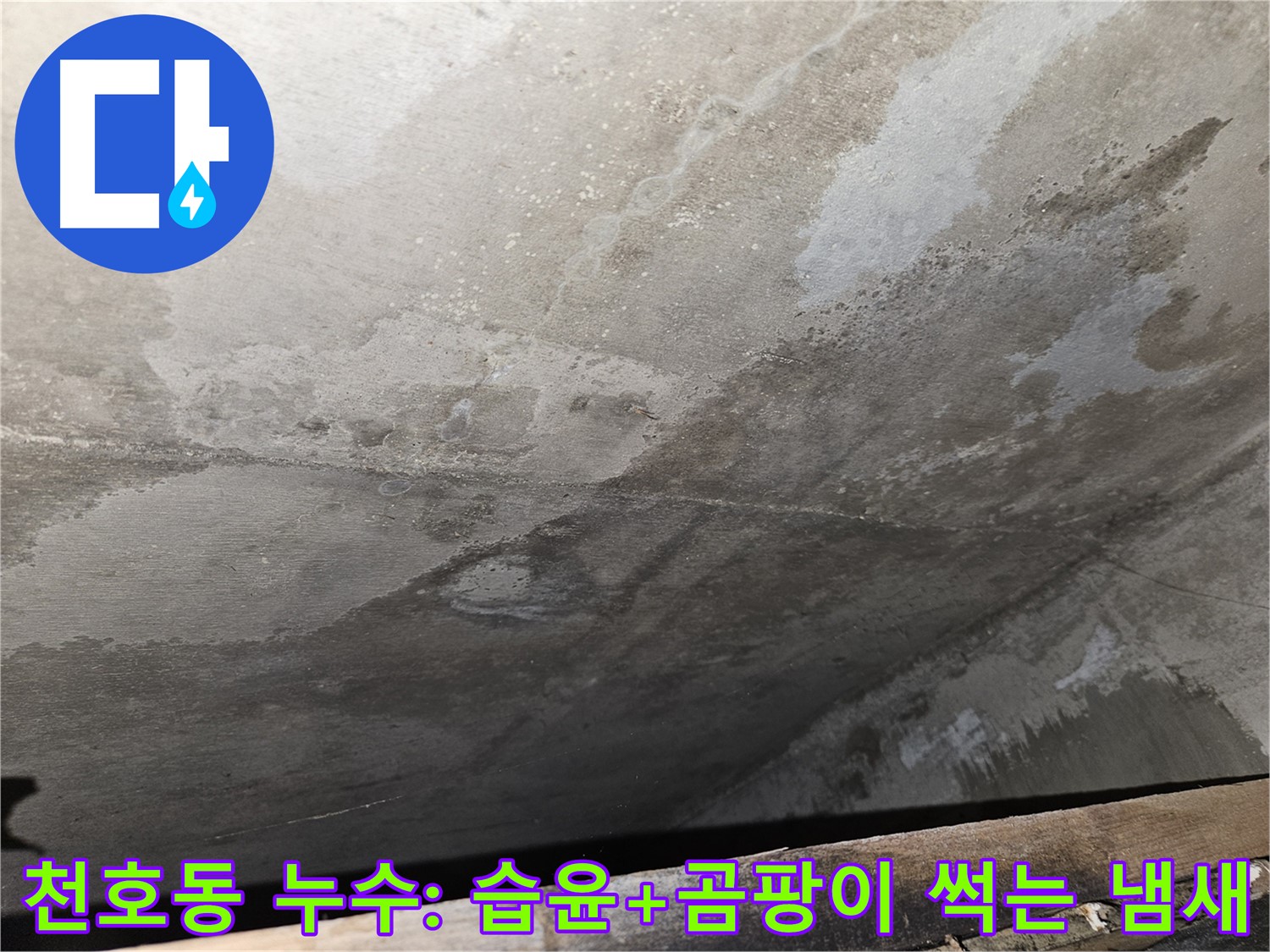 천호2동 아파트 누수 - 습윤, 곰팡이 썩는 냄새는 심각한 오염