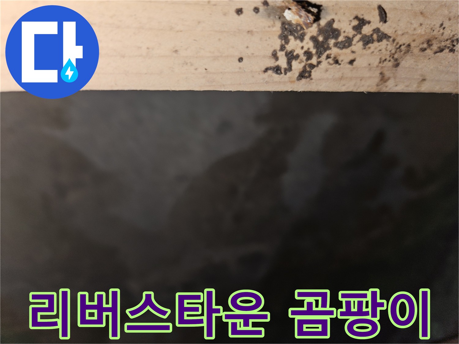 천호동 리버스타운 누수 - 곰팡이 문제 발생 - 건강 위협