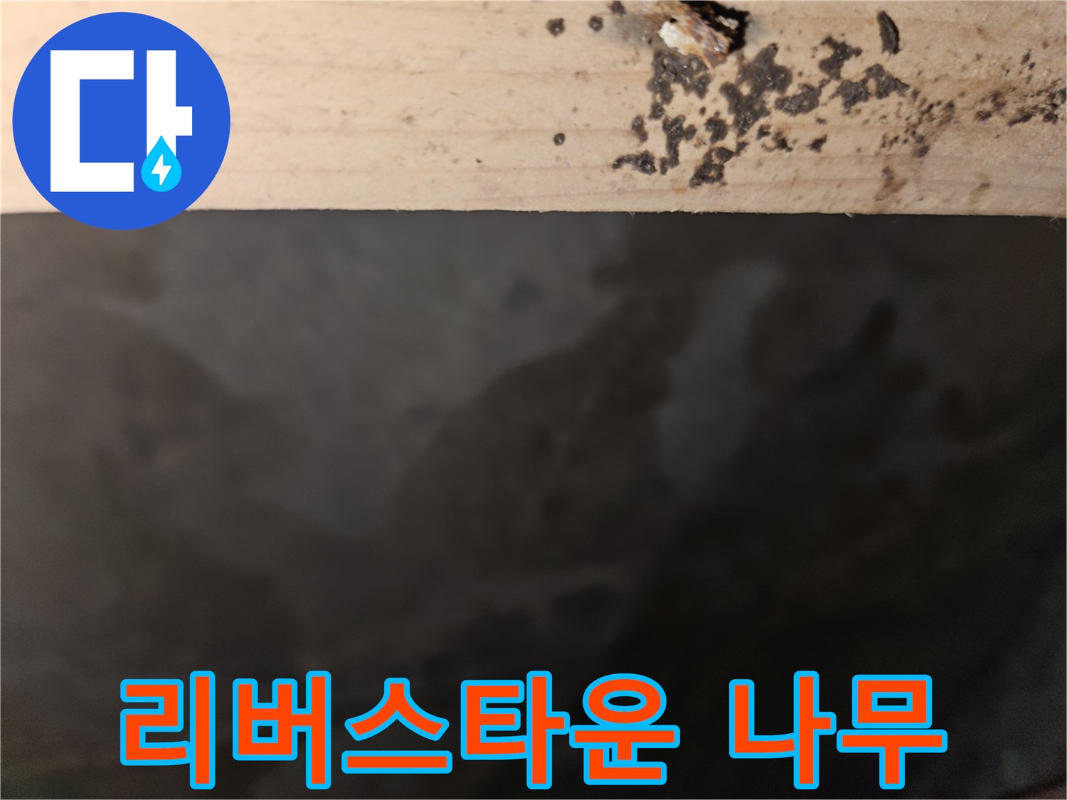 천호동 리버스타운 누수 - 나무 겉면 상태 점검 - 첨단 장비 사용