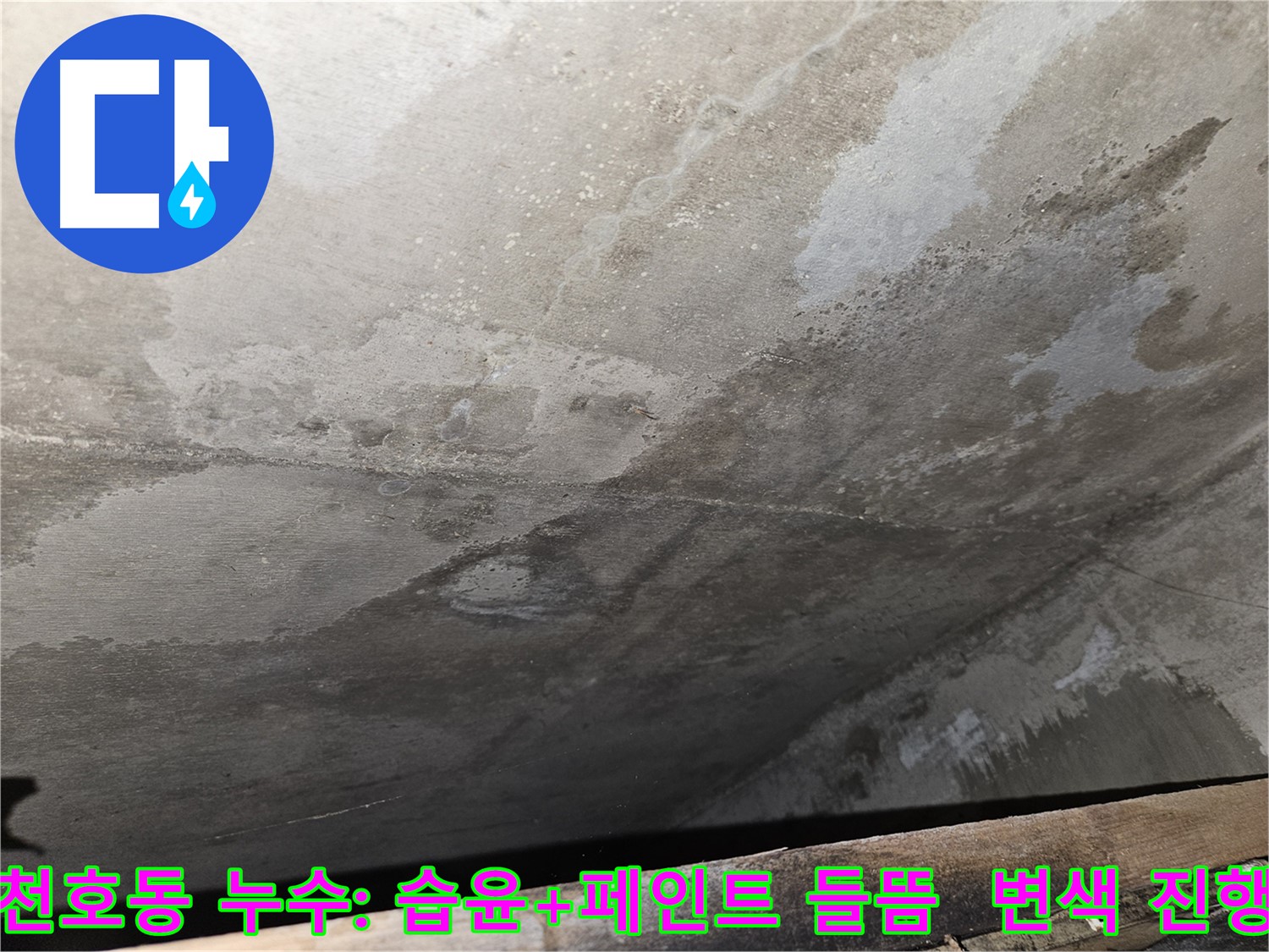 천호동 리버스타운 콘크리트 누수 - 습윤, 페인트 들뜸/변색 진행은 심각한 누수