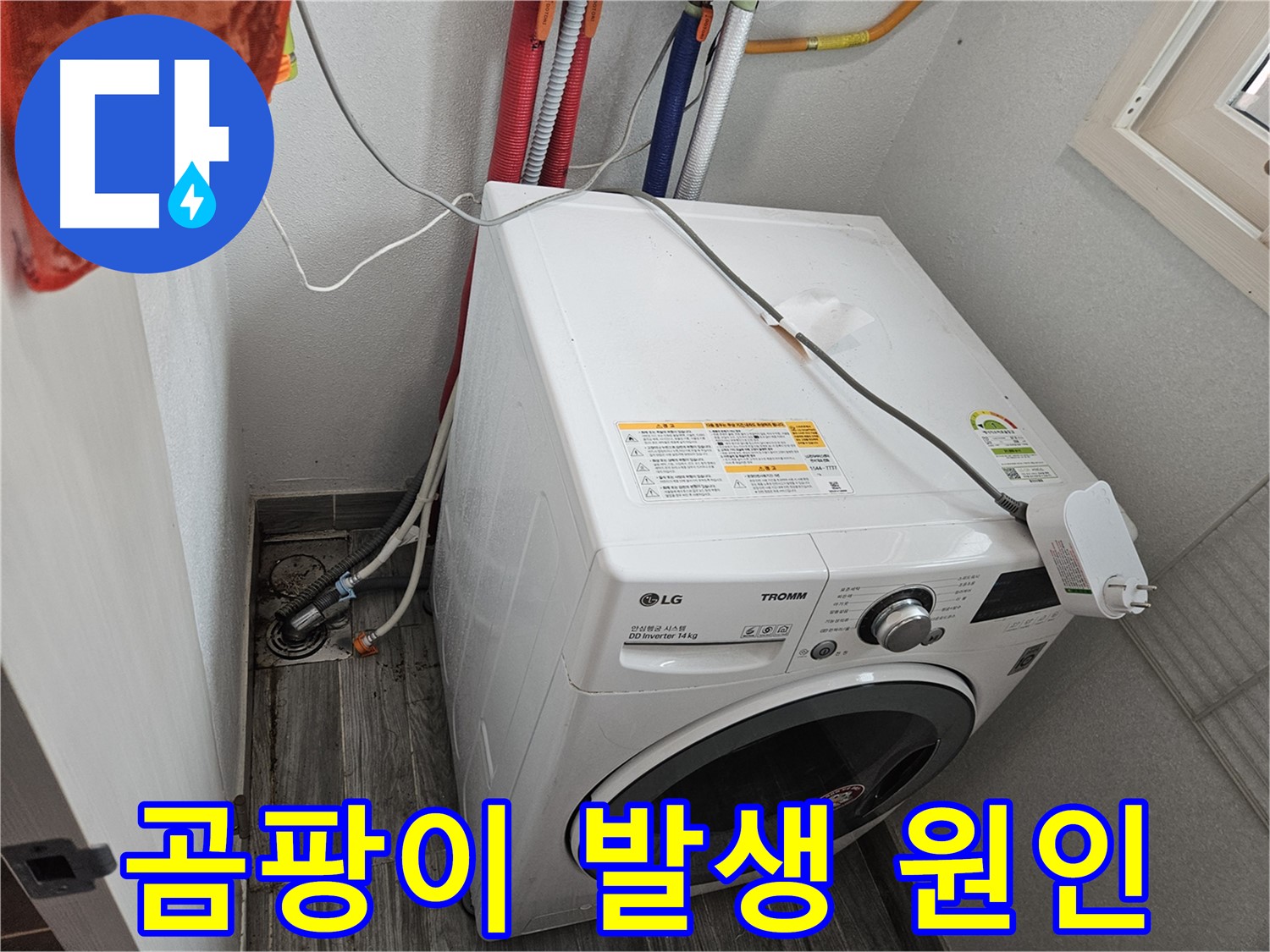 천호동 세탁기 누수 - 배수구 주변 곰팡이 발생 원인 파악 및 제거
