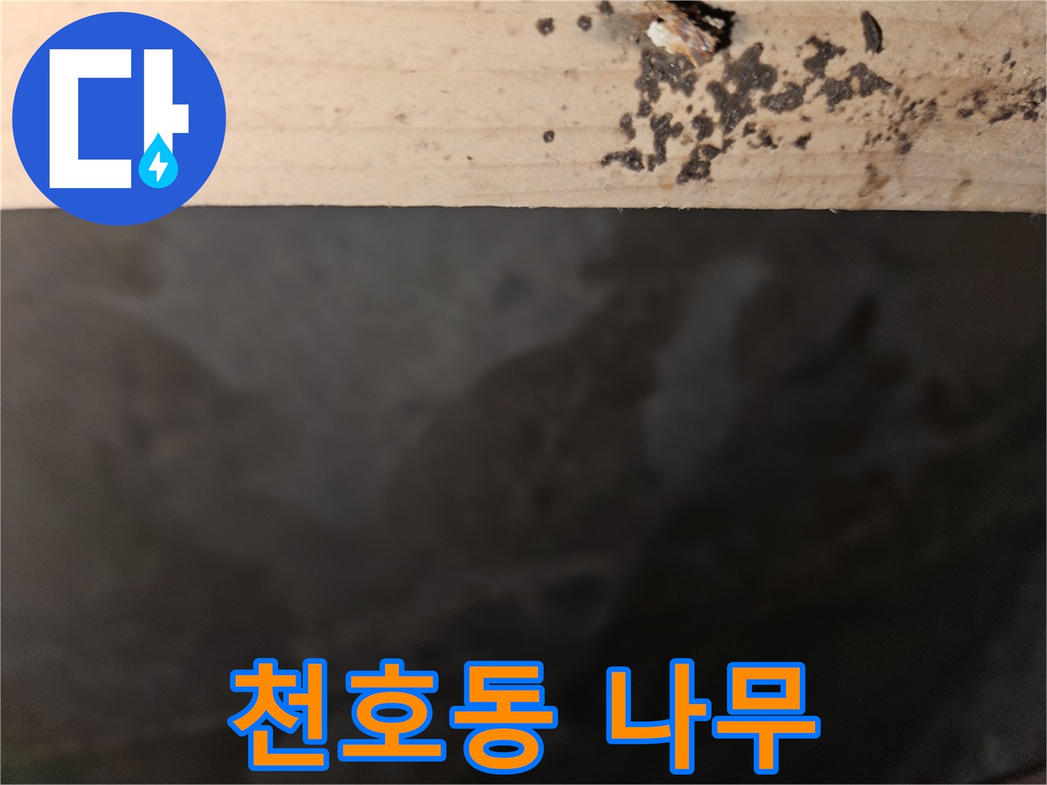 천호동 아파트 누수 - 나무 겉면 곰팡이 차단 - 최고