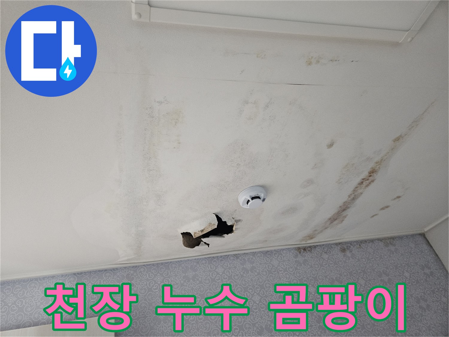 천호동 아파트 천장 누수 - 누수로 인해 천장에 곰팡이가 심하게 발생한 모습 - 건강에 매우 해롭습니다
