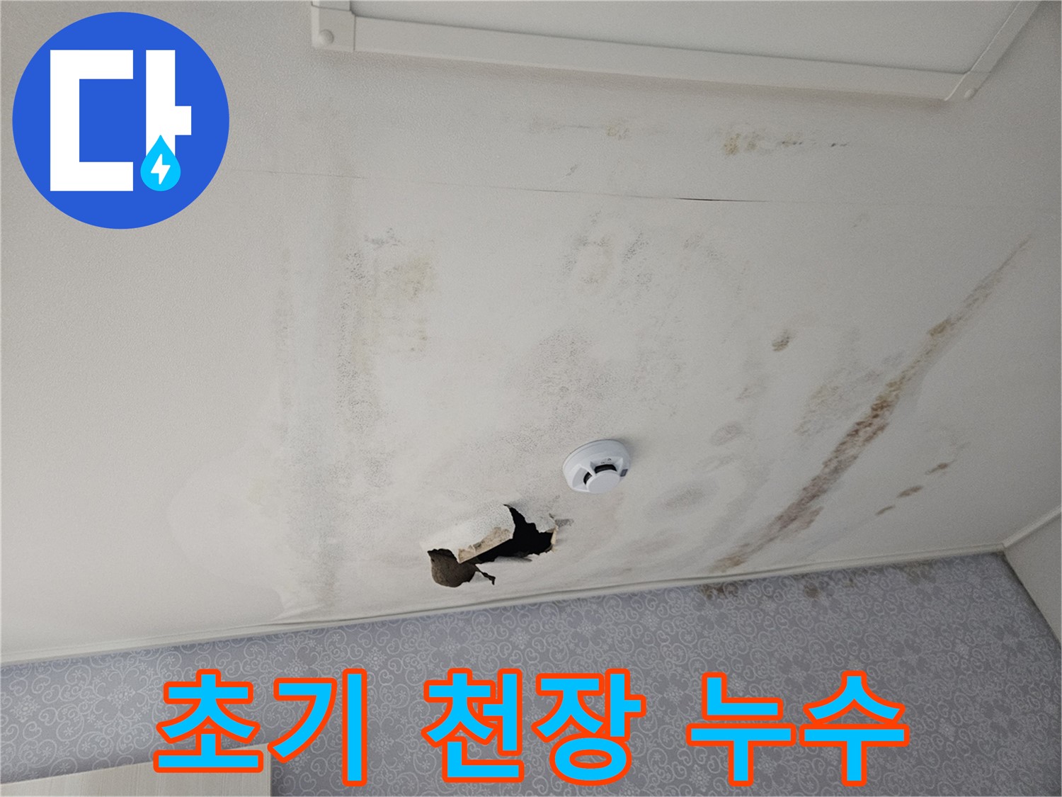 천호동 아파트 천장 누수 - 초기 누수 발견의 중요성 - 작은 흔적도 놓치지 않고 꼼꼼하게 점검합니다