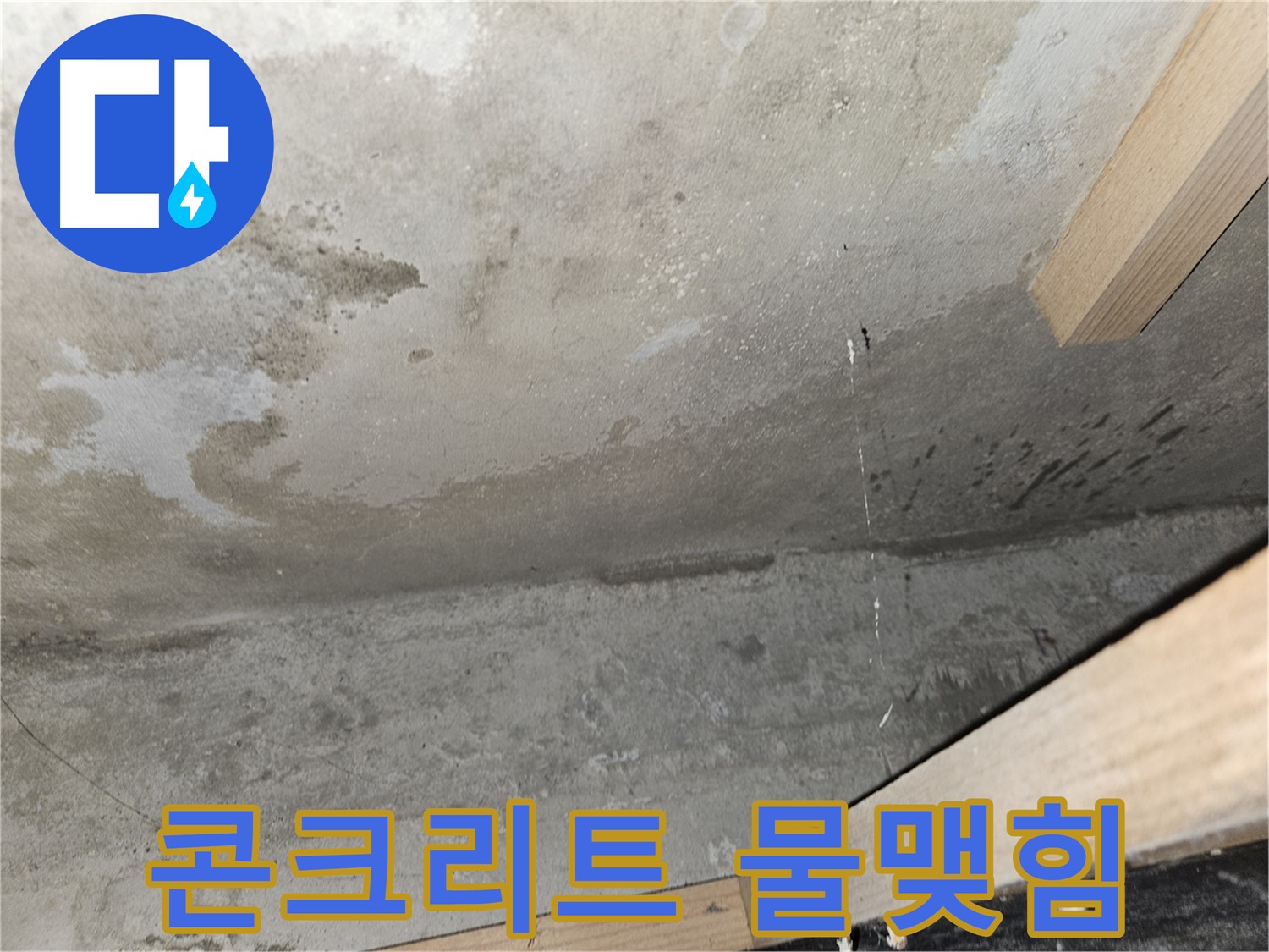 콘크리트 천장 물맺힘 - 누수로 인해 콘크리트 천장에 물방울이 맺혀 곰팡이 발생 위험을 알립니다.