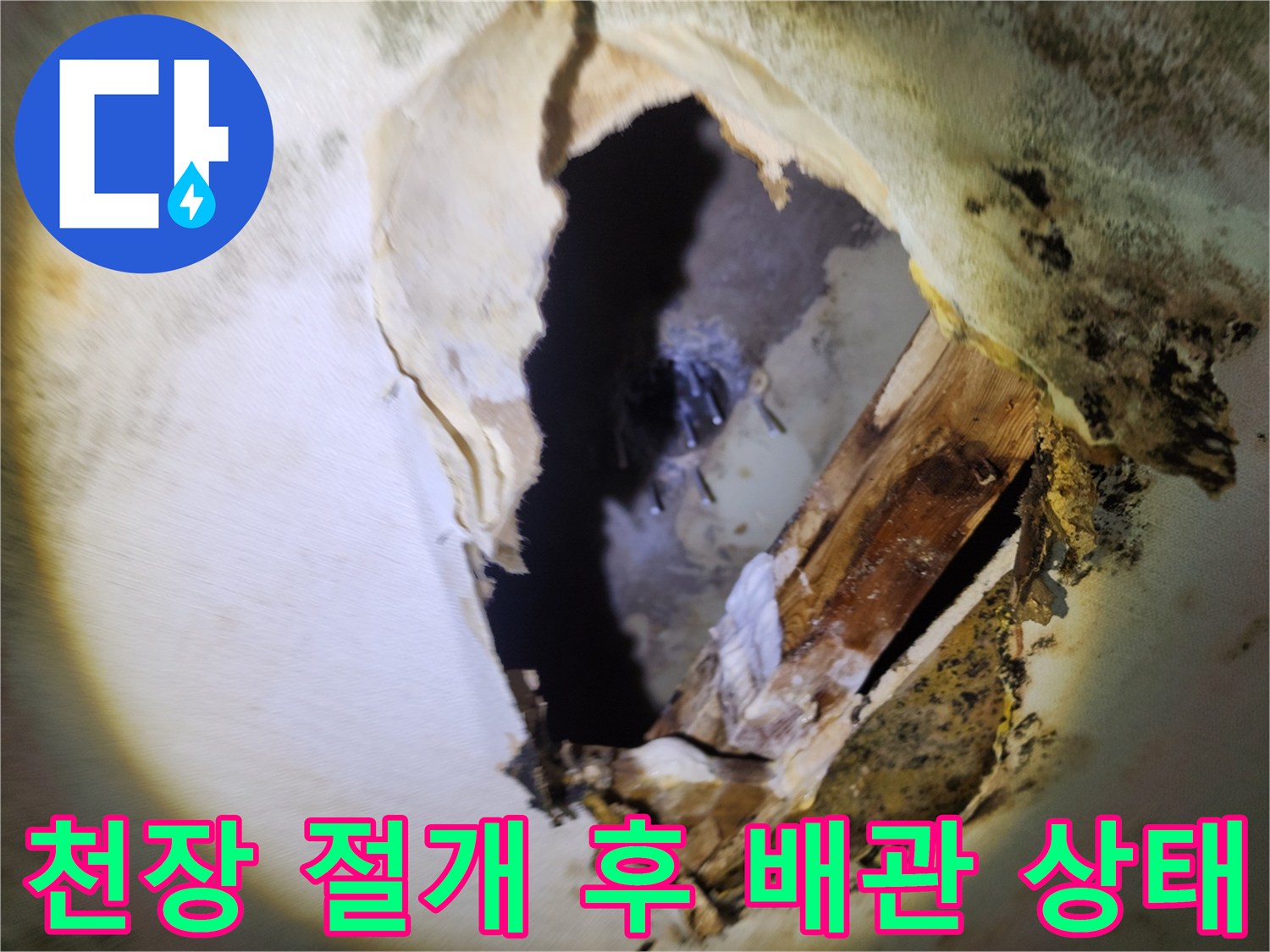습기로 인해 곰팡이가 발생한 - 주방 천장 내부 구조물 모습