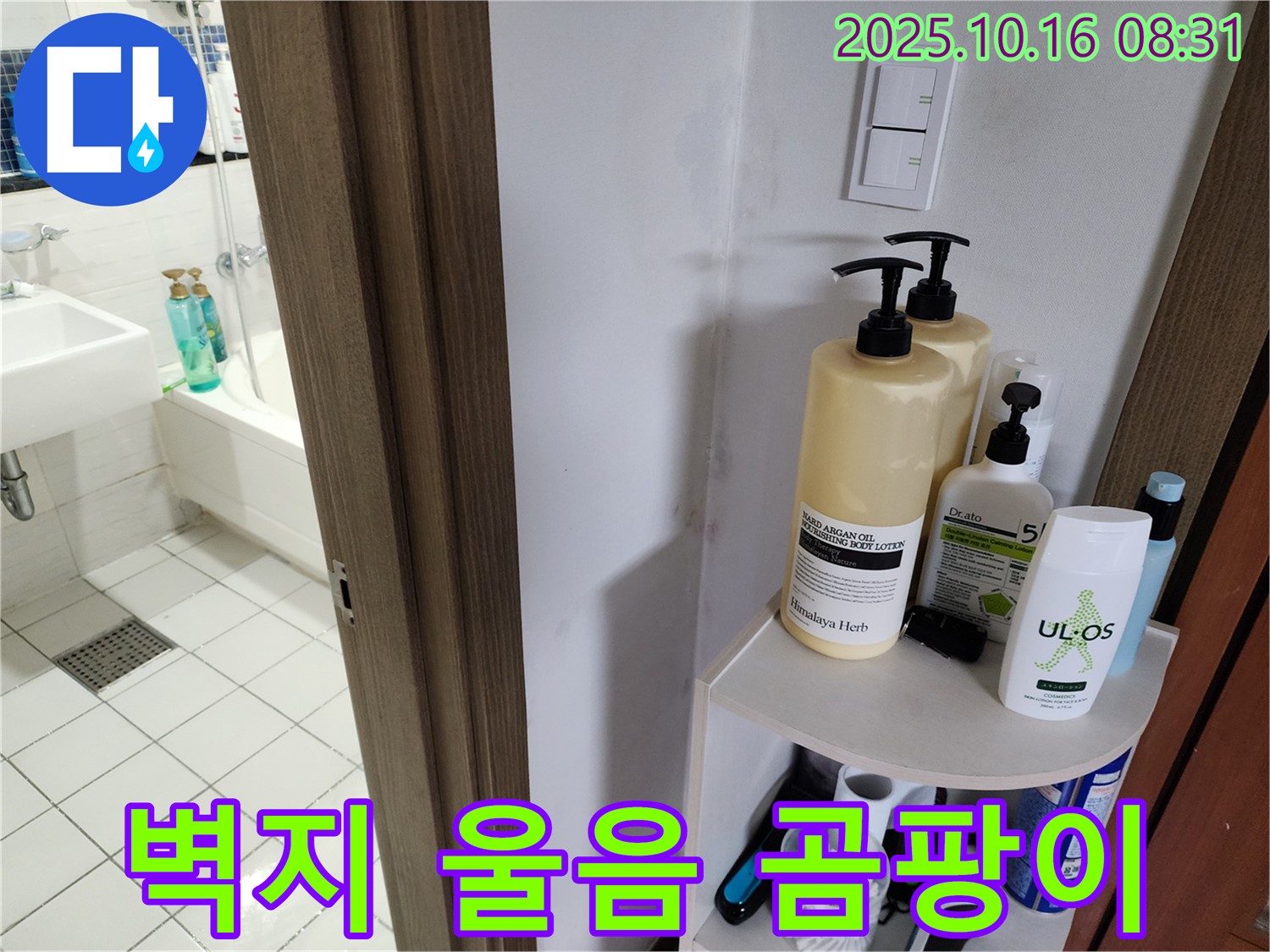 양주 경신리 욕실 누수 - 벽지 울음과 곰팡이, 누수 의심