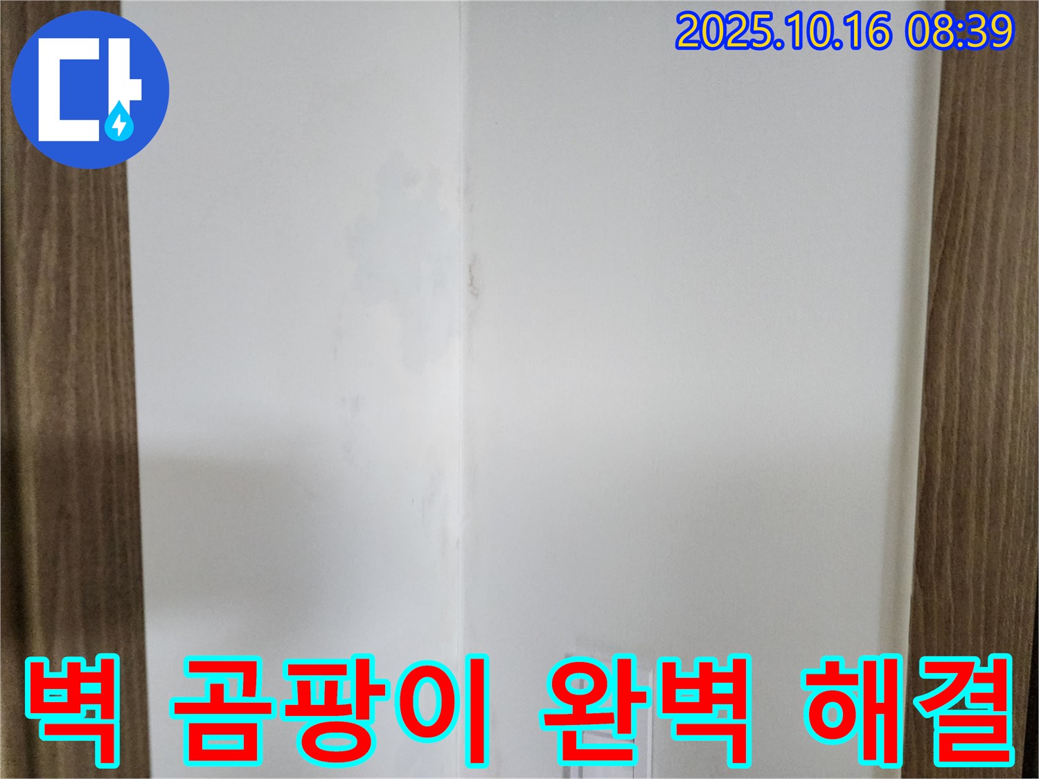 양주 경신리에서 발생한 벽 곰팡이 문제를 완벽하게 해결하는 과정을 보여주는 이미지입니다.