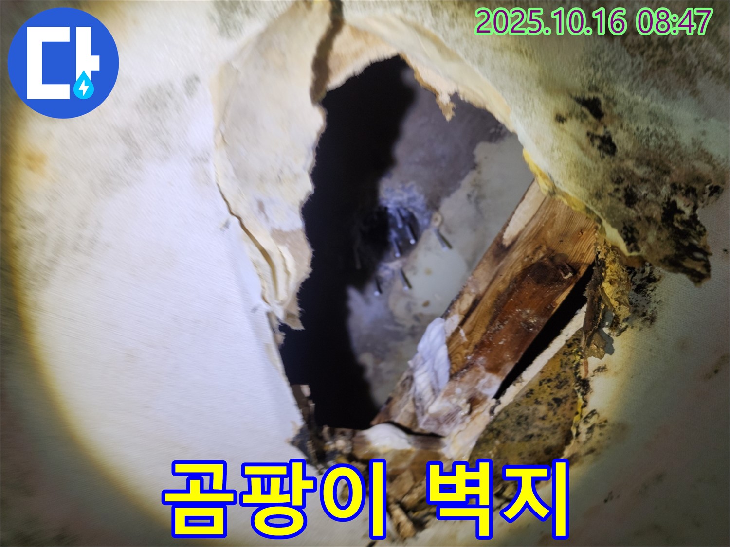 양주 남면 경신리 누수 - 천장 속 곰팡이와 내려앉은 벽지 - 복합적인 문제 발생, 전문적인 해결 필요
